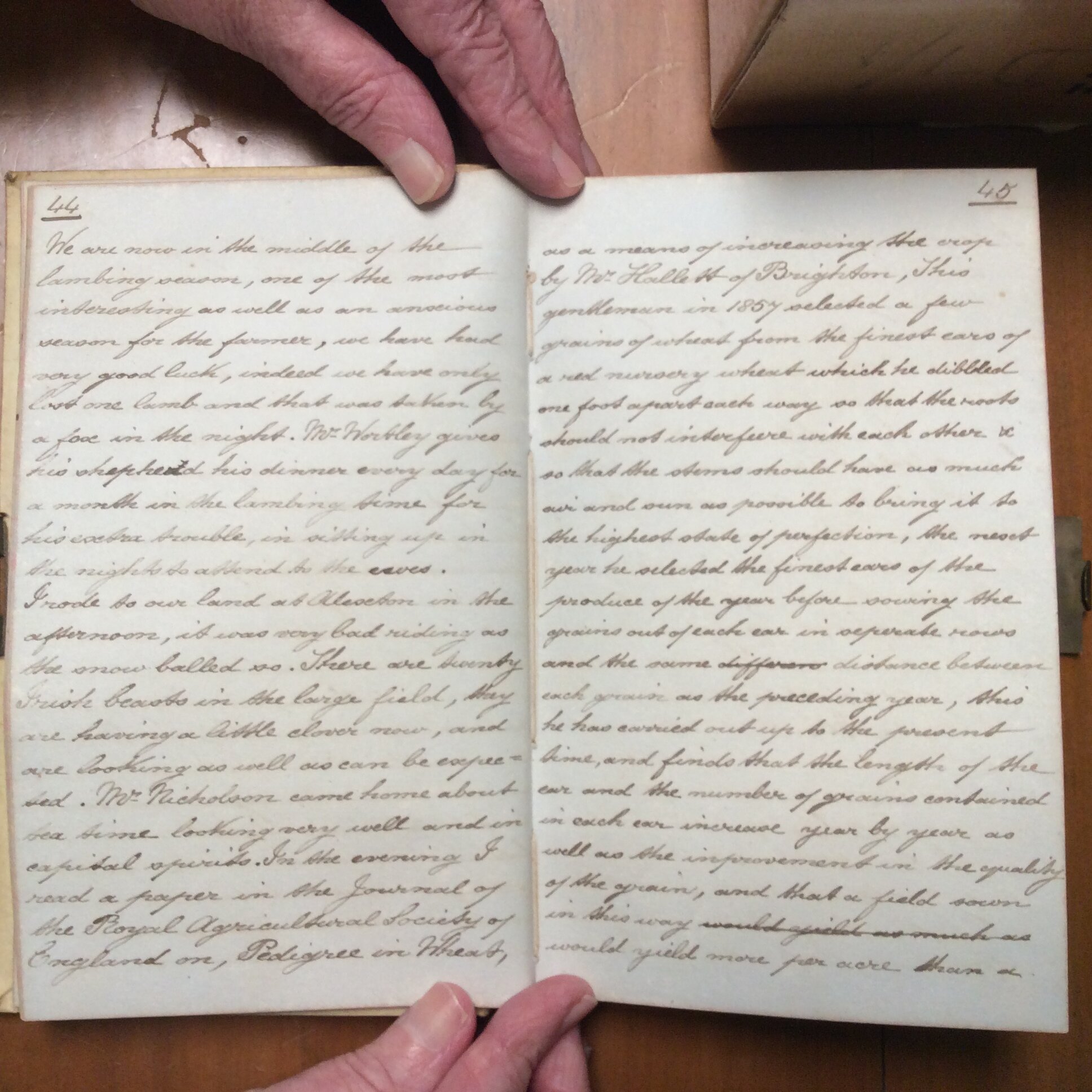 Original CS Clarke diary page