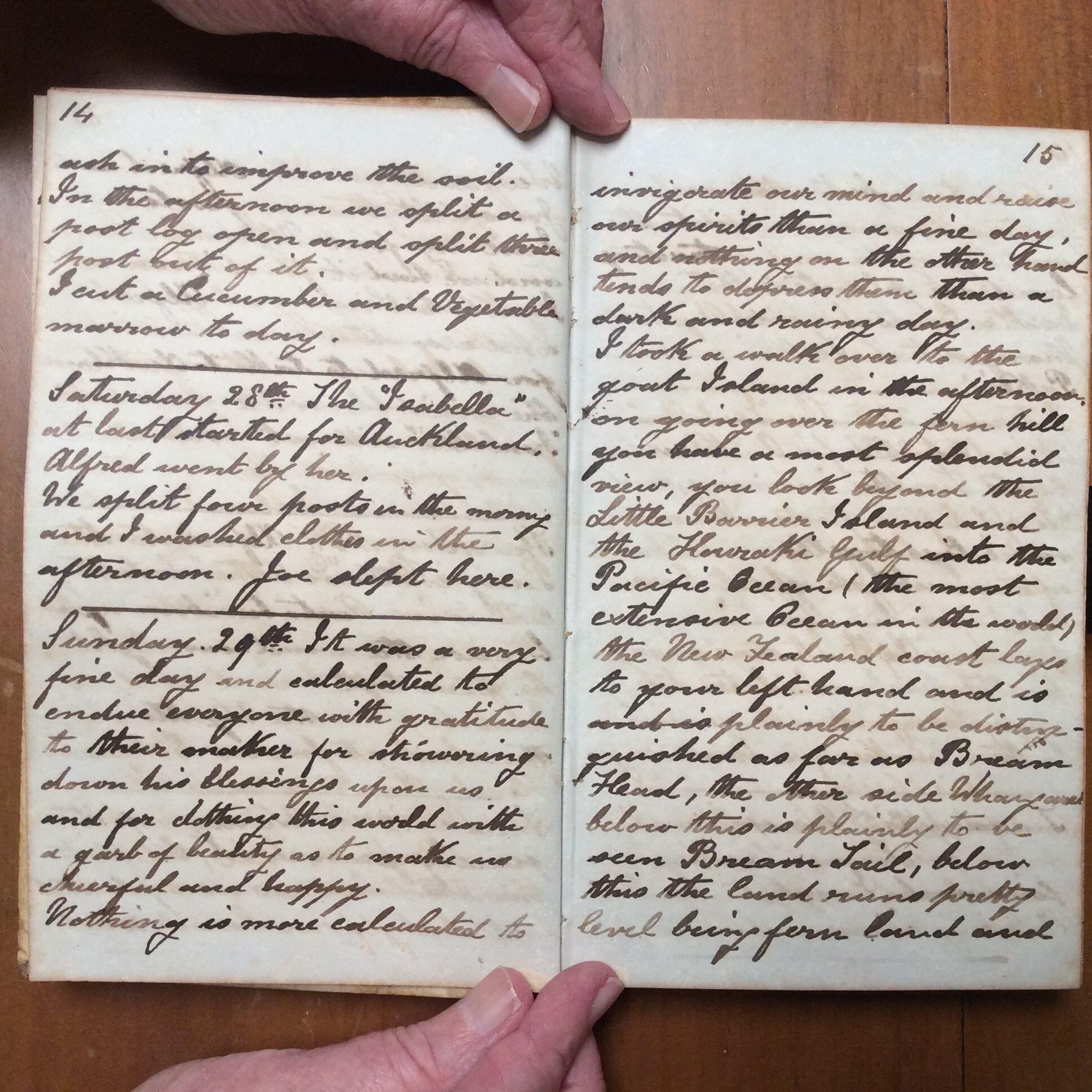 Original CS Clarke diary page