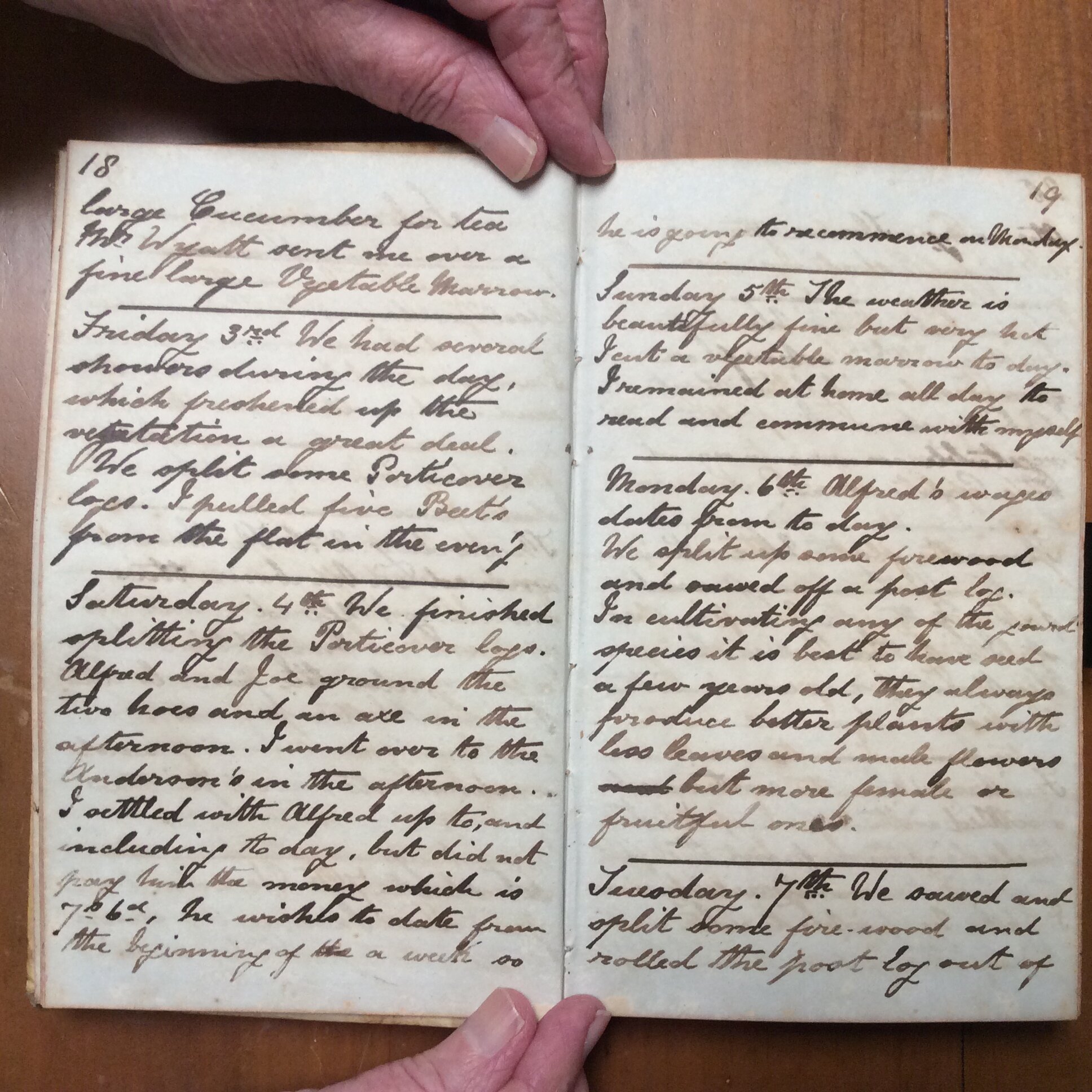 Original CS Clarke diary page