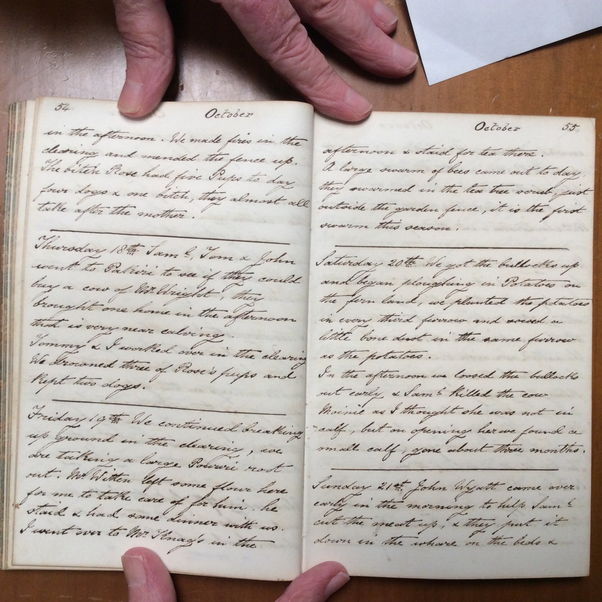 Original CS Clarke diary page