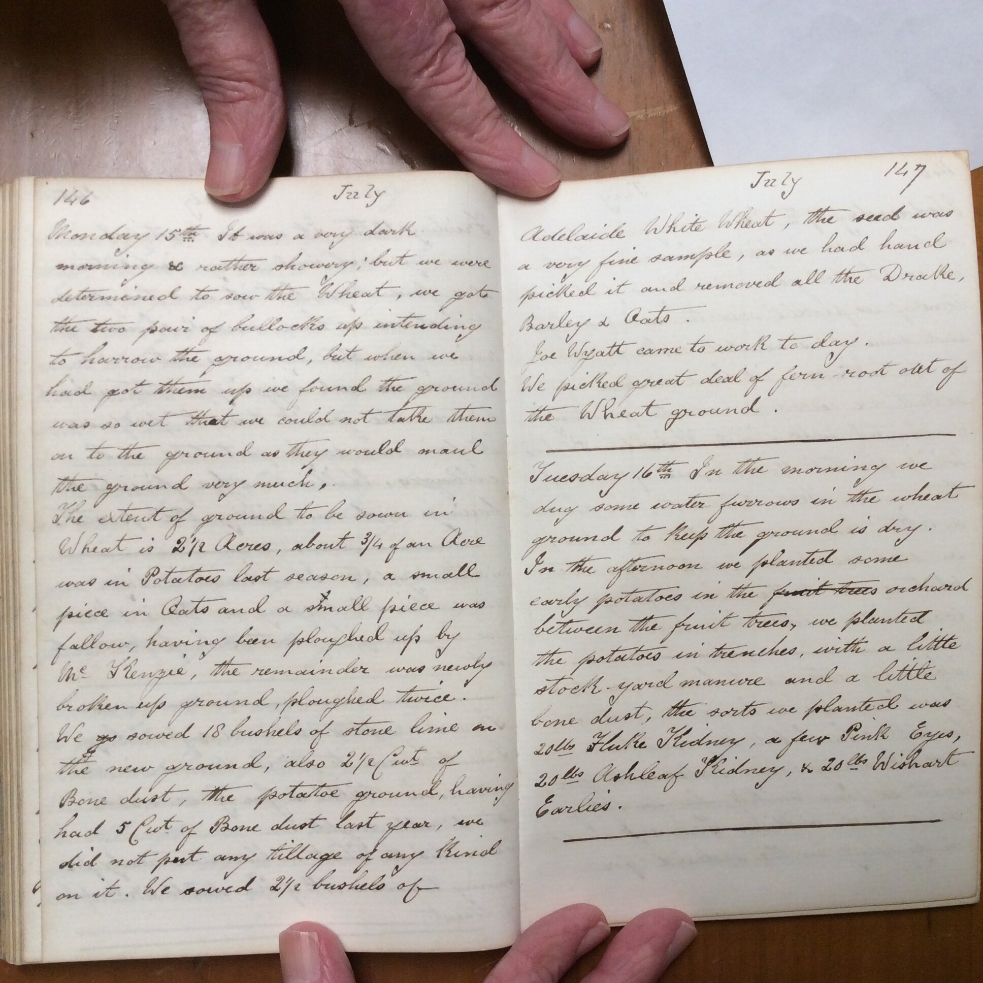 Original CS Clarke diary page