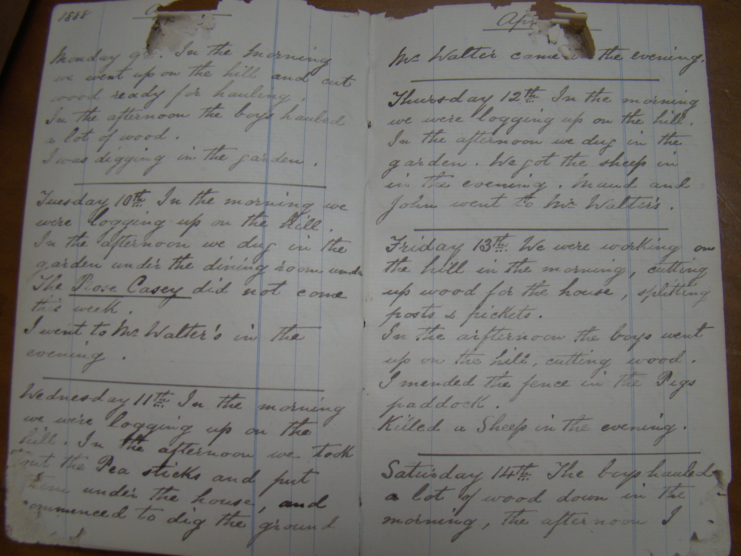 Original CS Clarke diary page