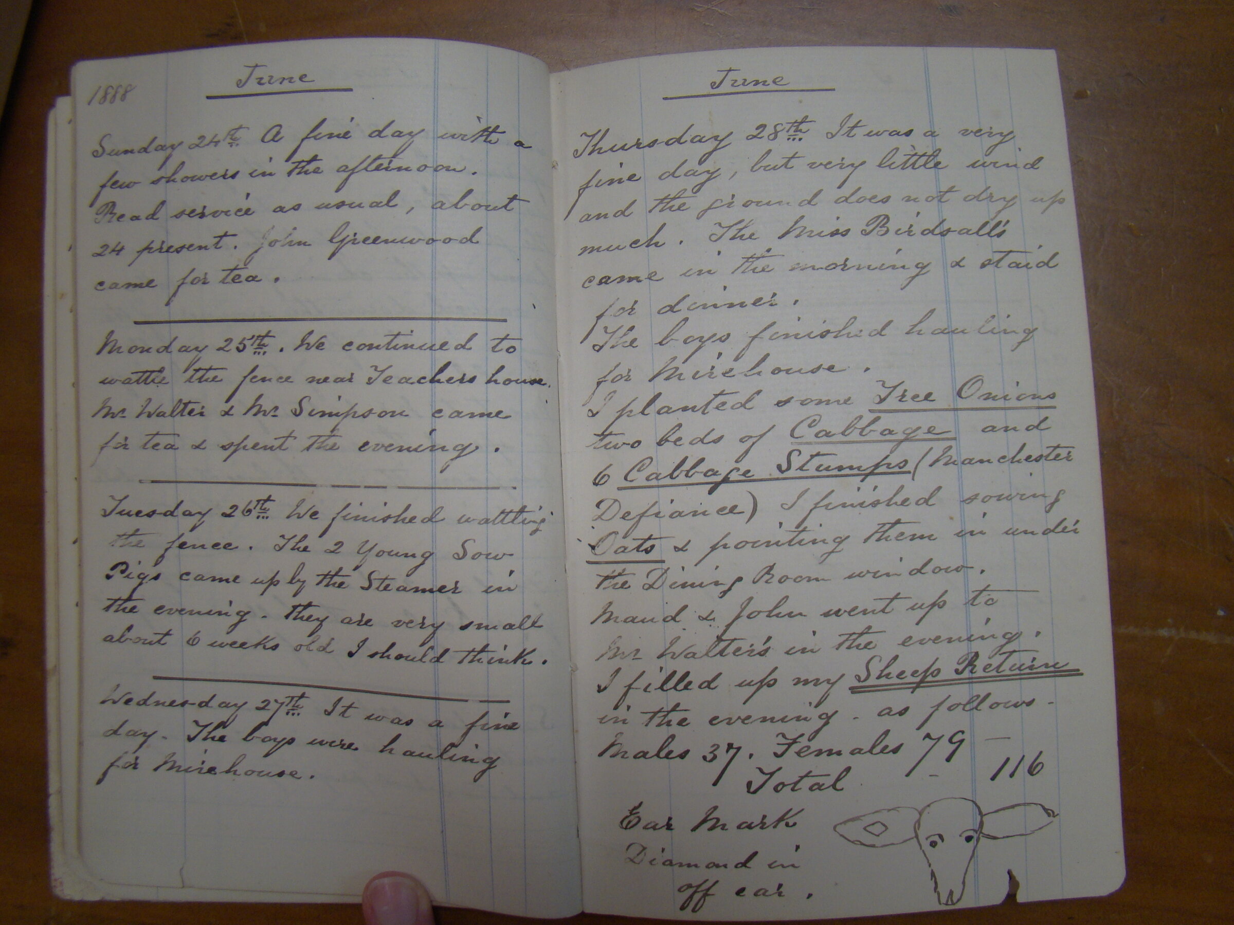 Original CS Clarke diary page