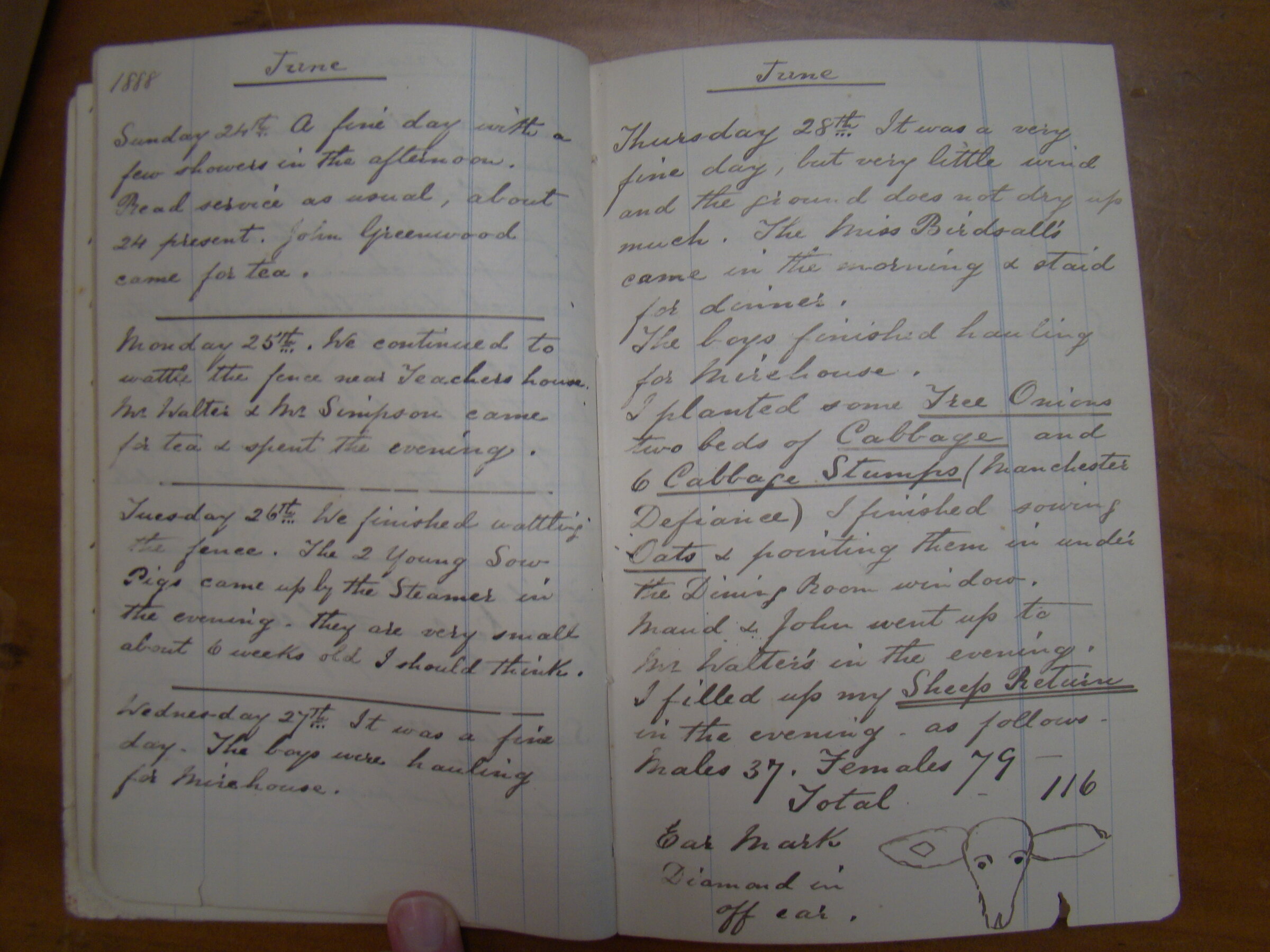 Original CS Clarke diary page