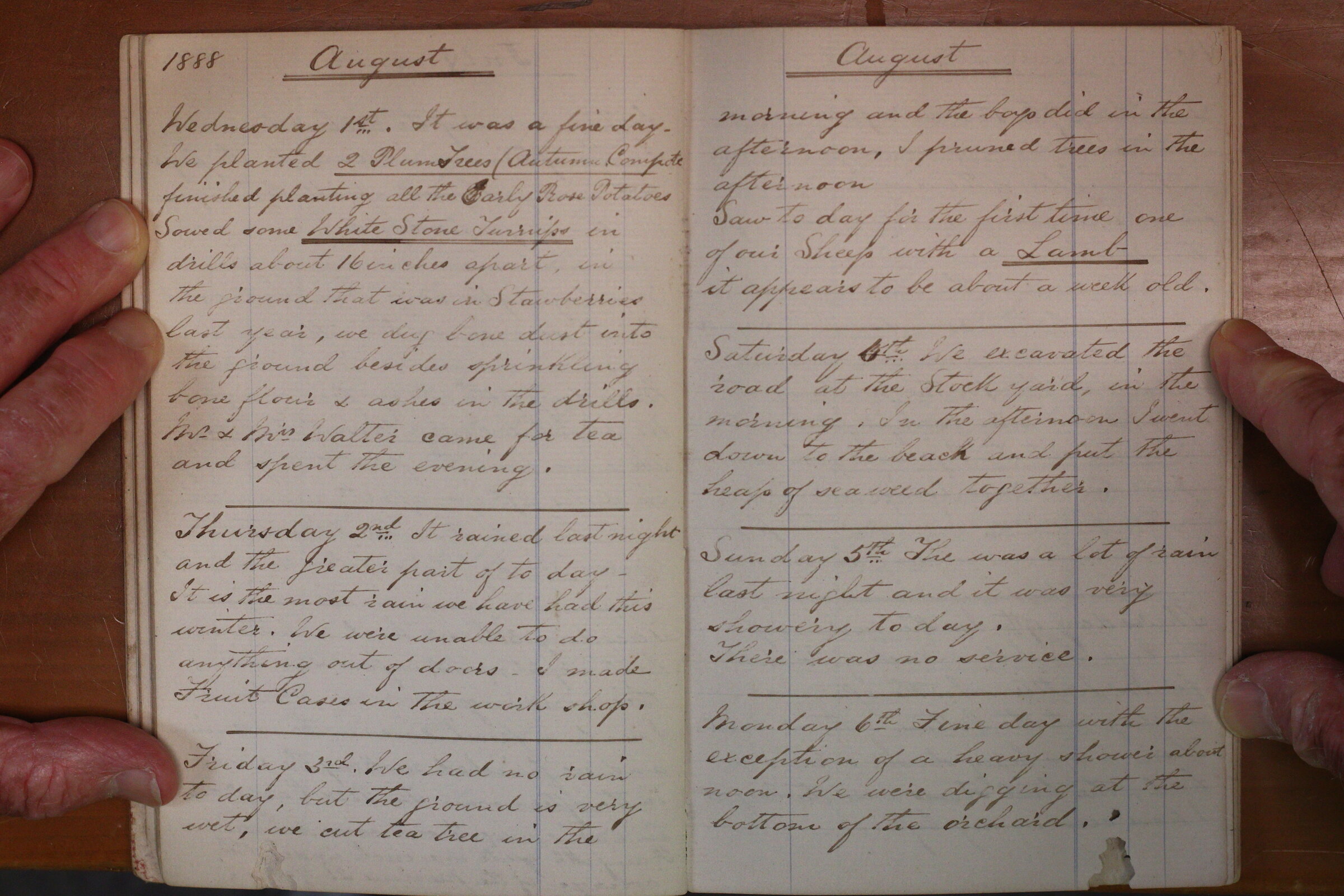 Original CS Clarke diary page
