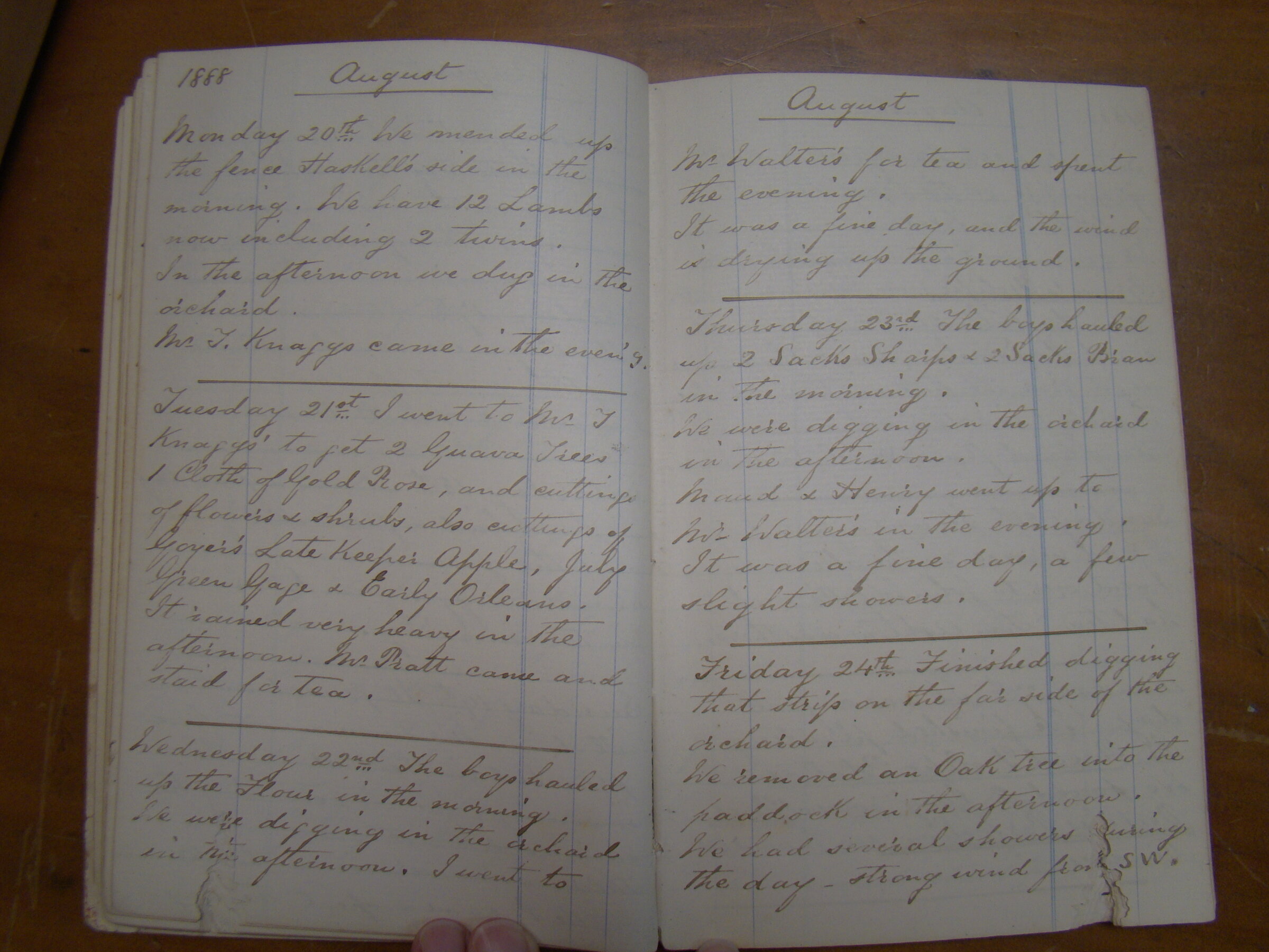 Original CS Clarke diary page