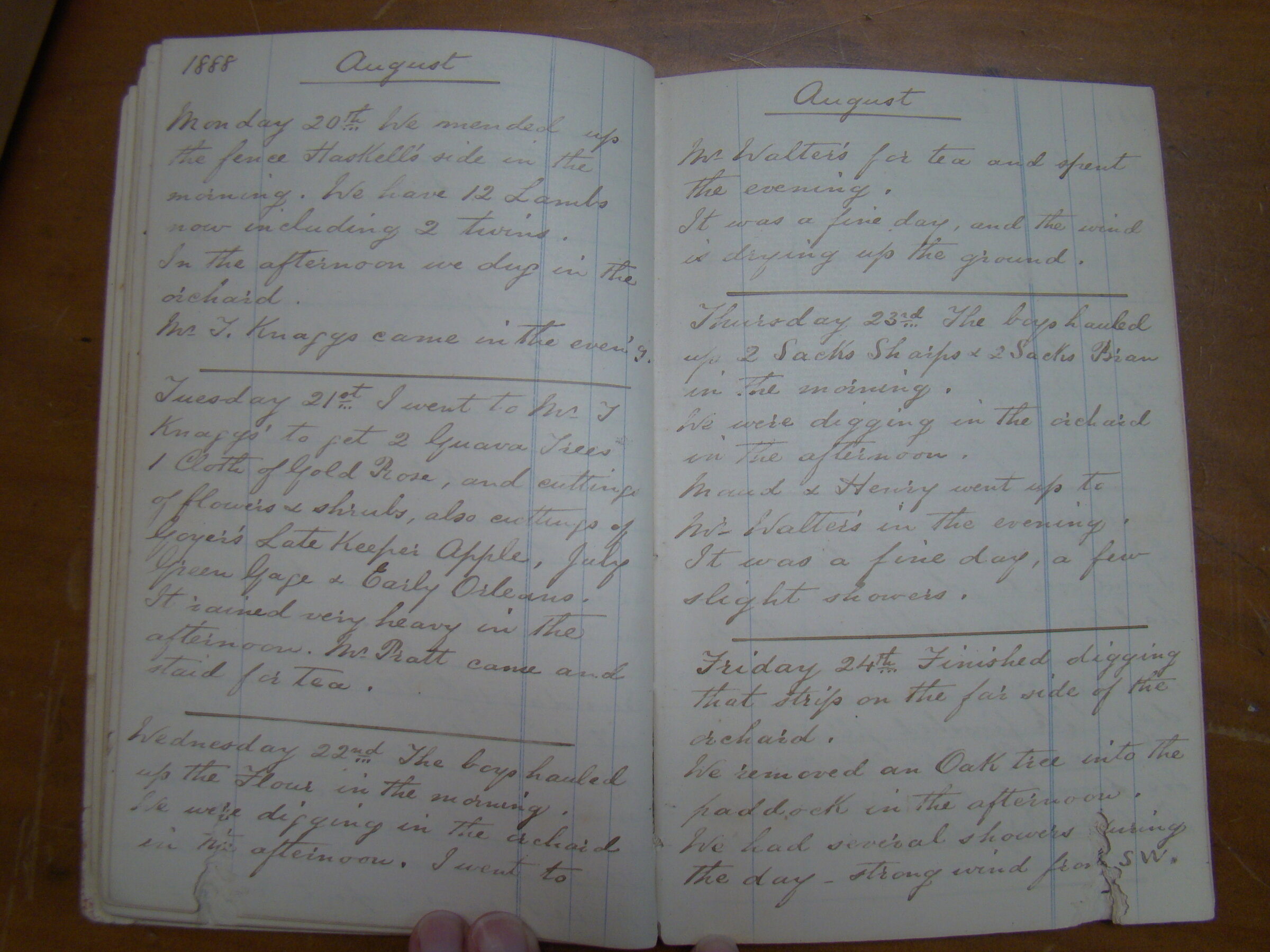 Original CS Clarke diary page