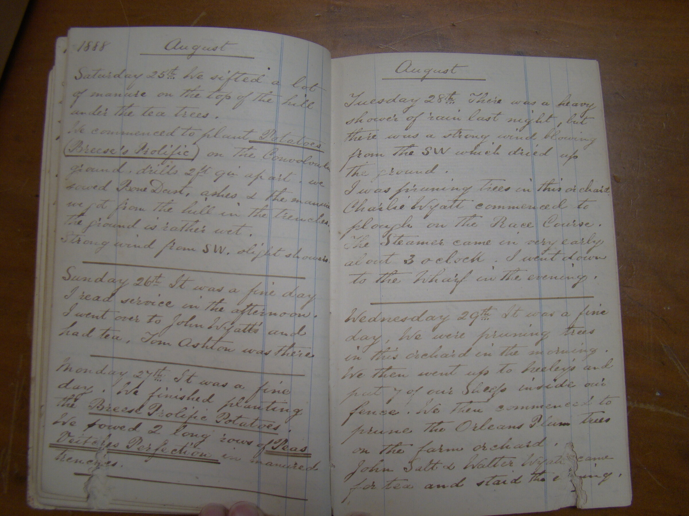 Original CS Clarke diary page
