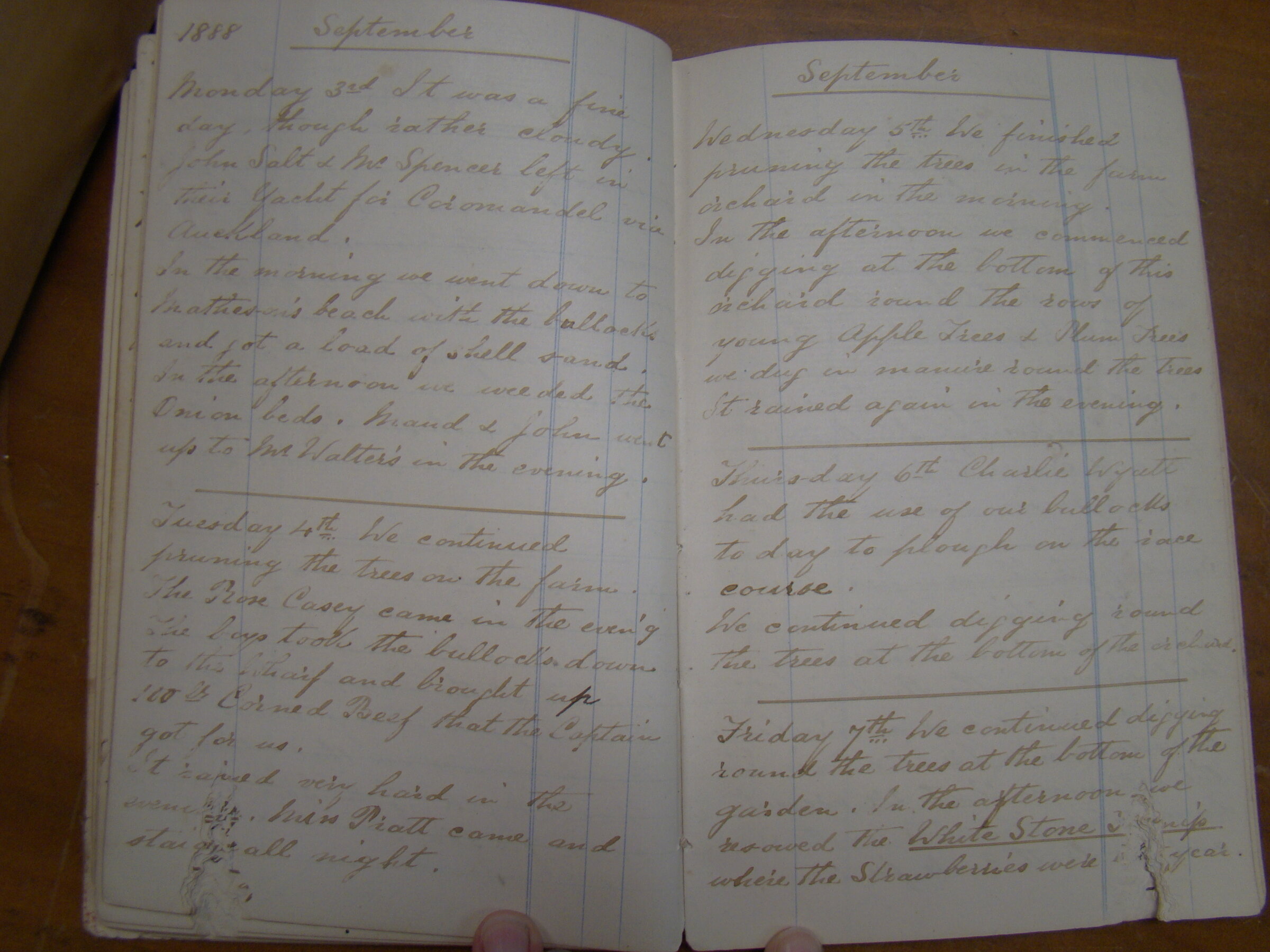 Original CS Clarke diary page