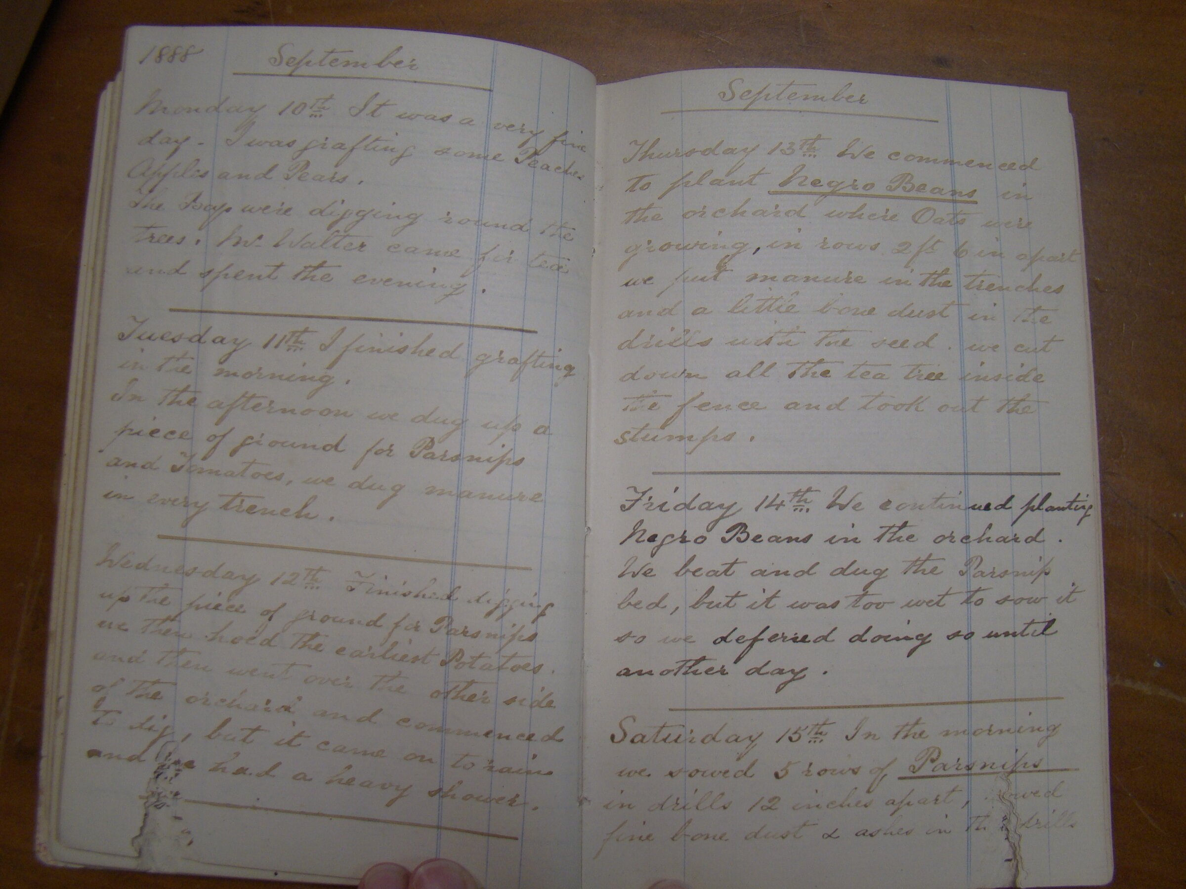 Original CS Clarke diary page
