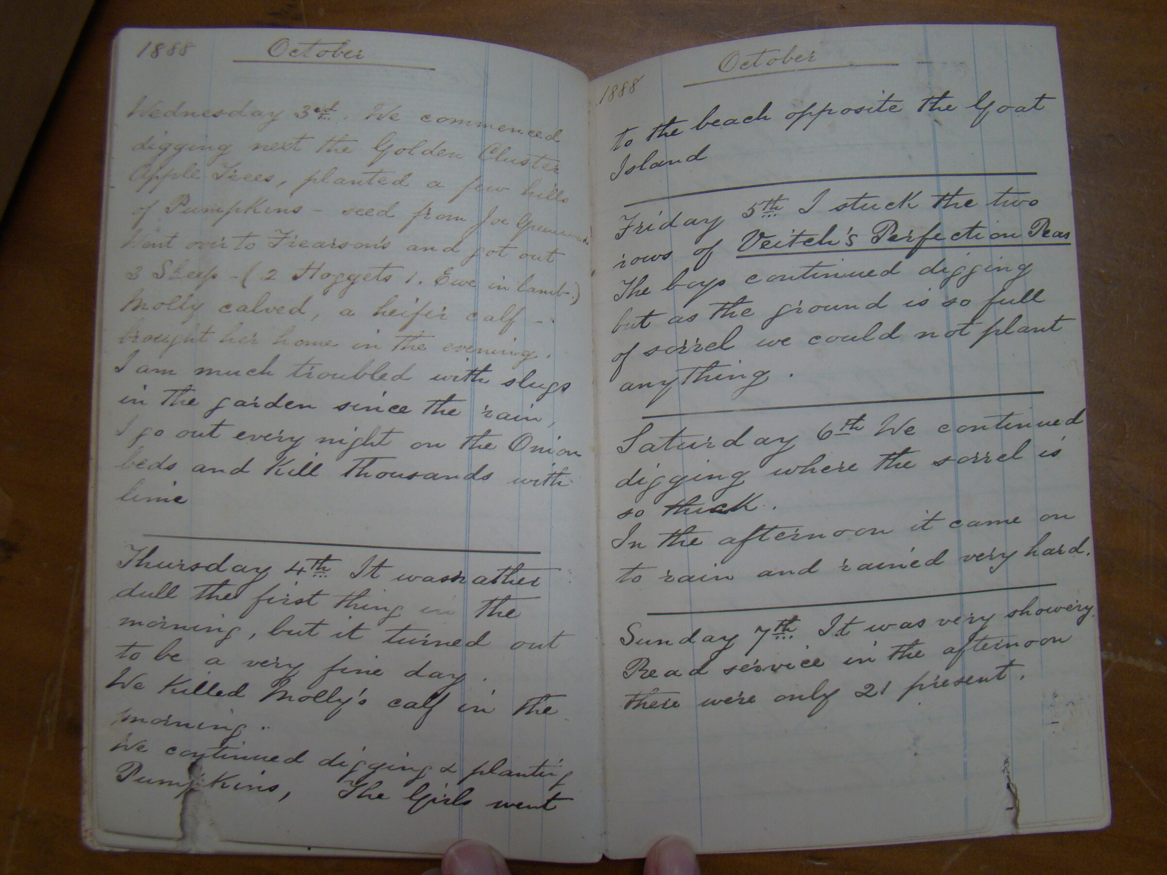 Original CS Clarke diary page