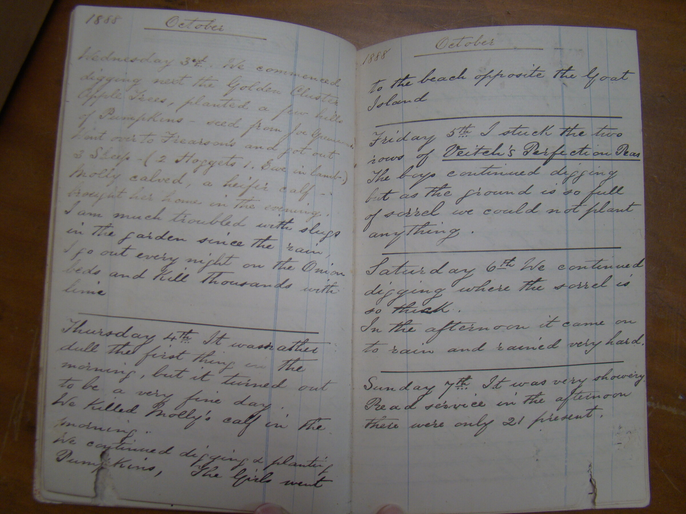 Original CS Clarke diary page