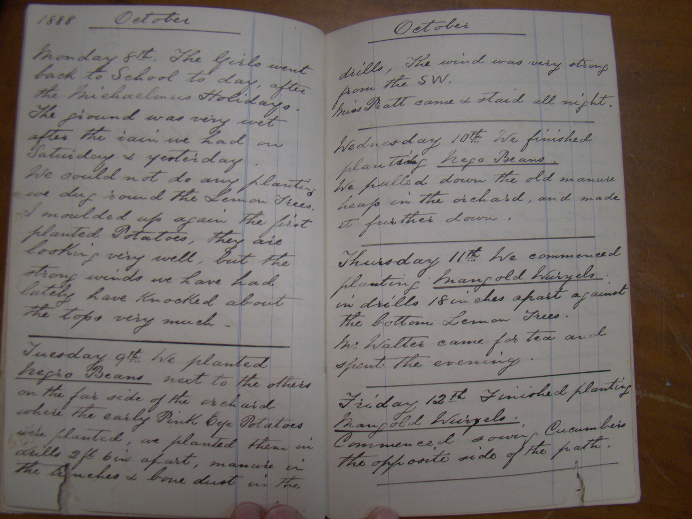 Original CS Clarke diary page
