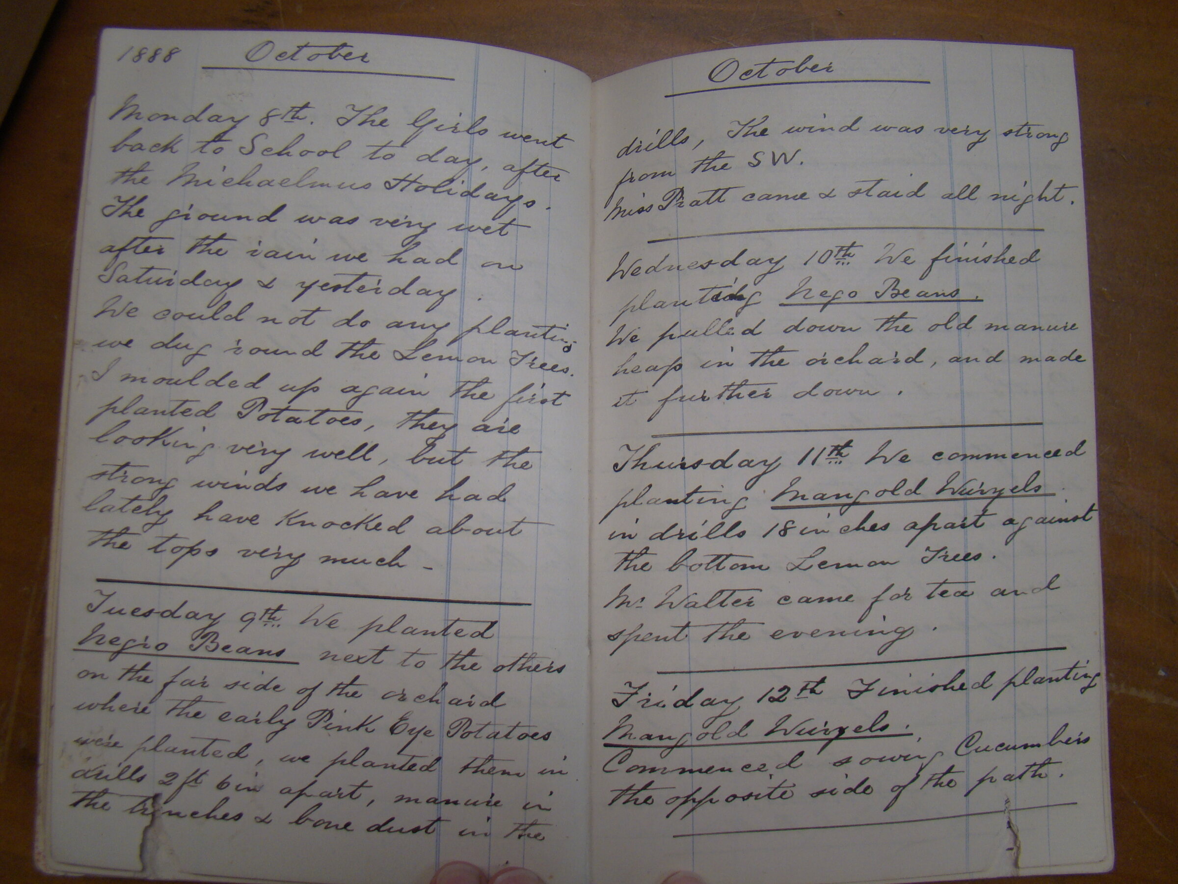 Original CS Clarke diary page