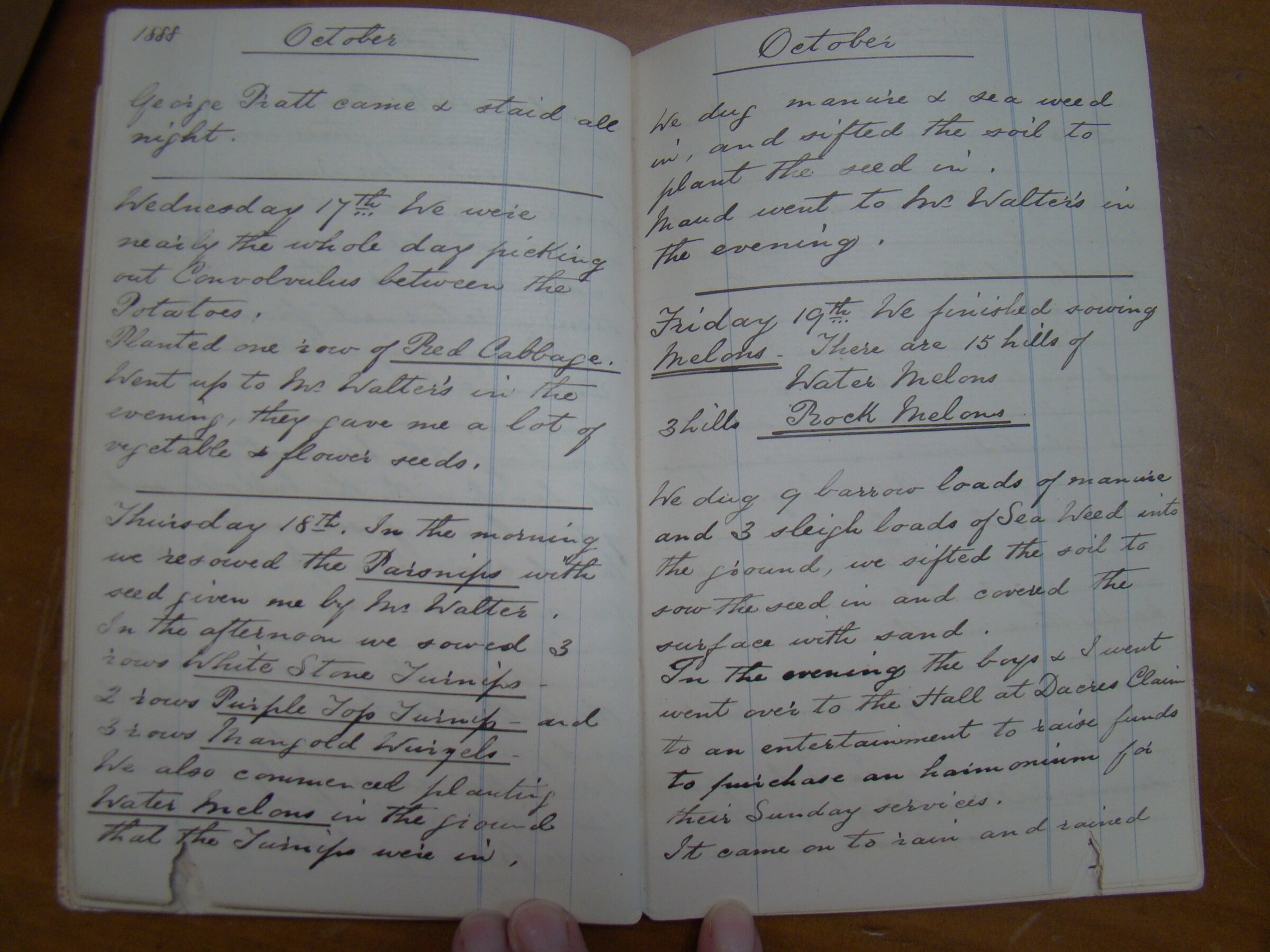 Original CS Clarke diary page