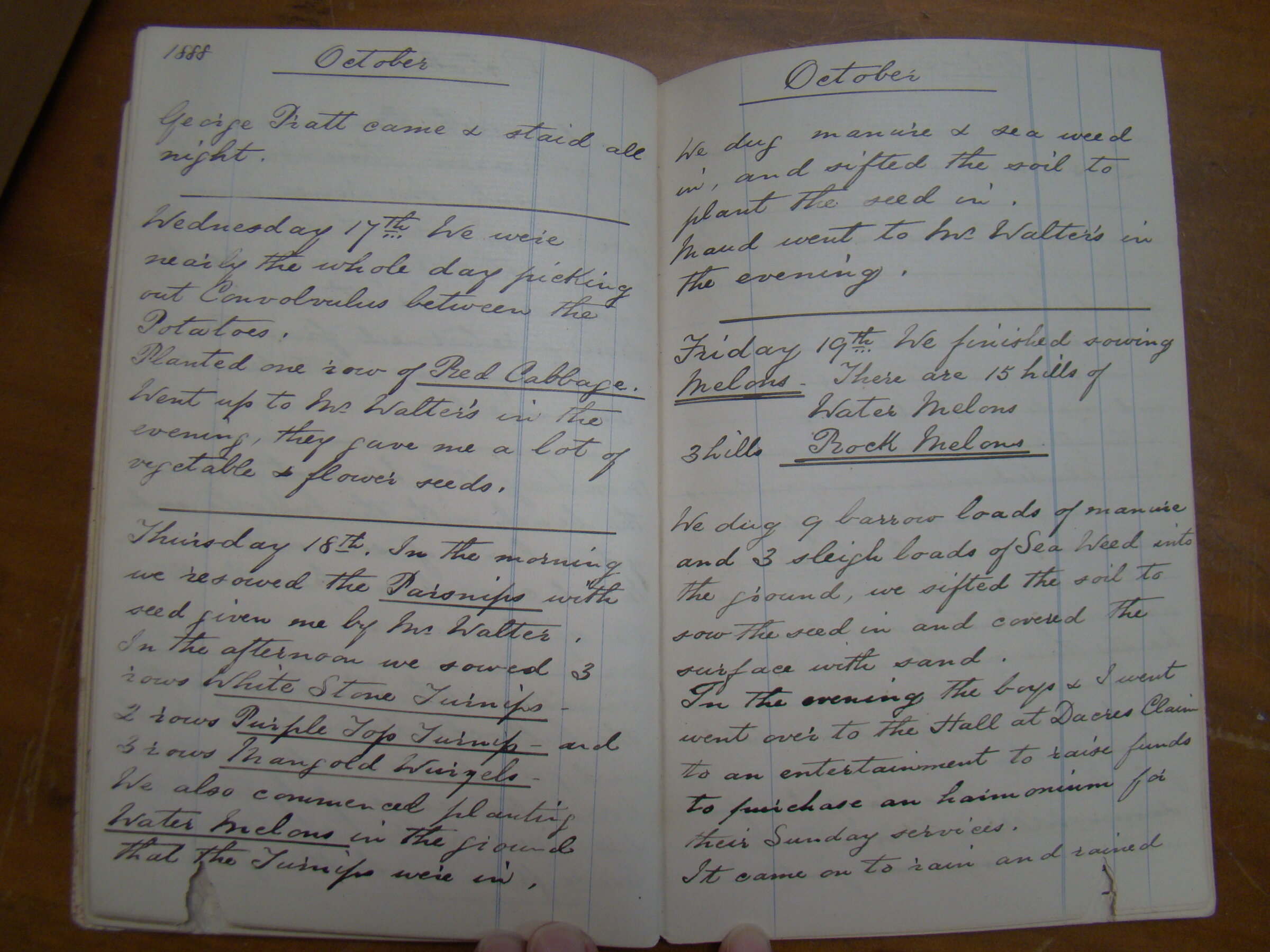 Original CS Clarke diary page