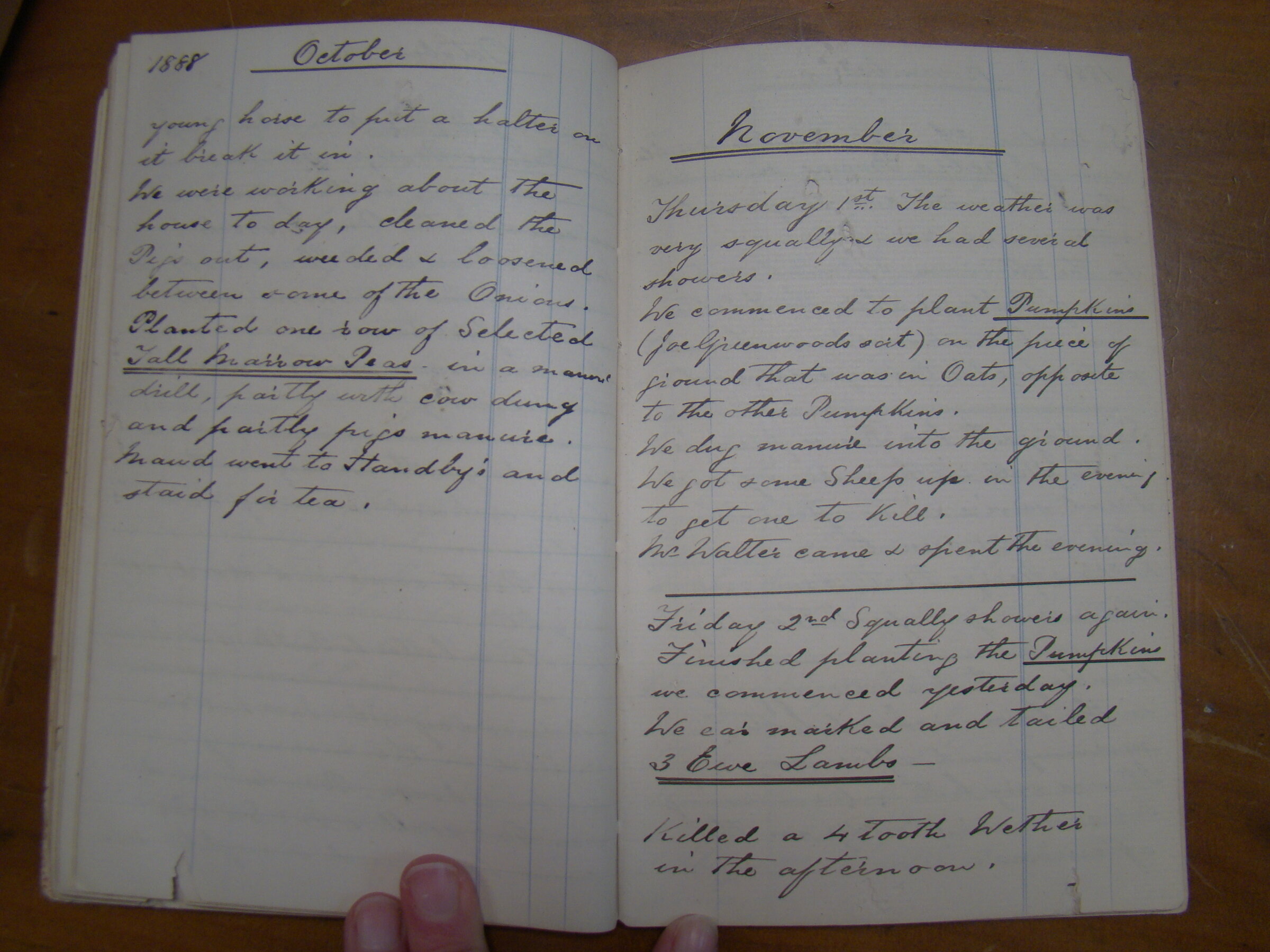 Original CS Clarke diary page