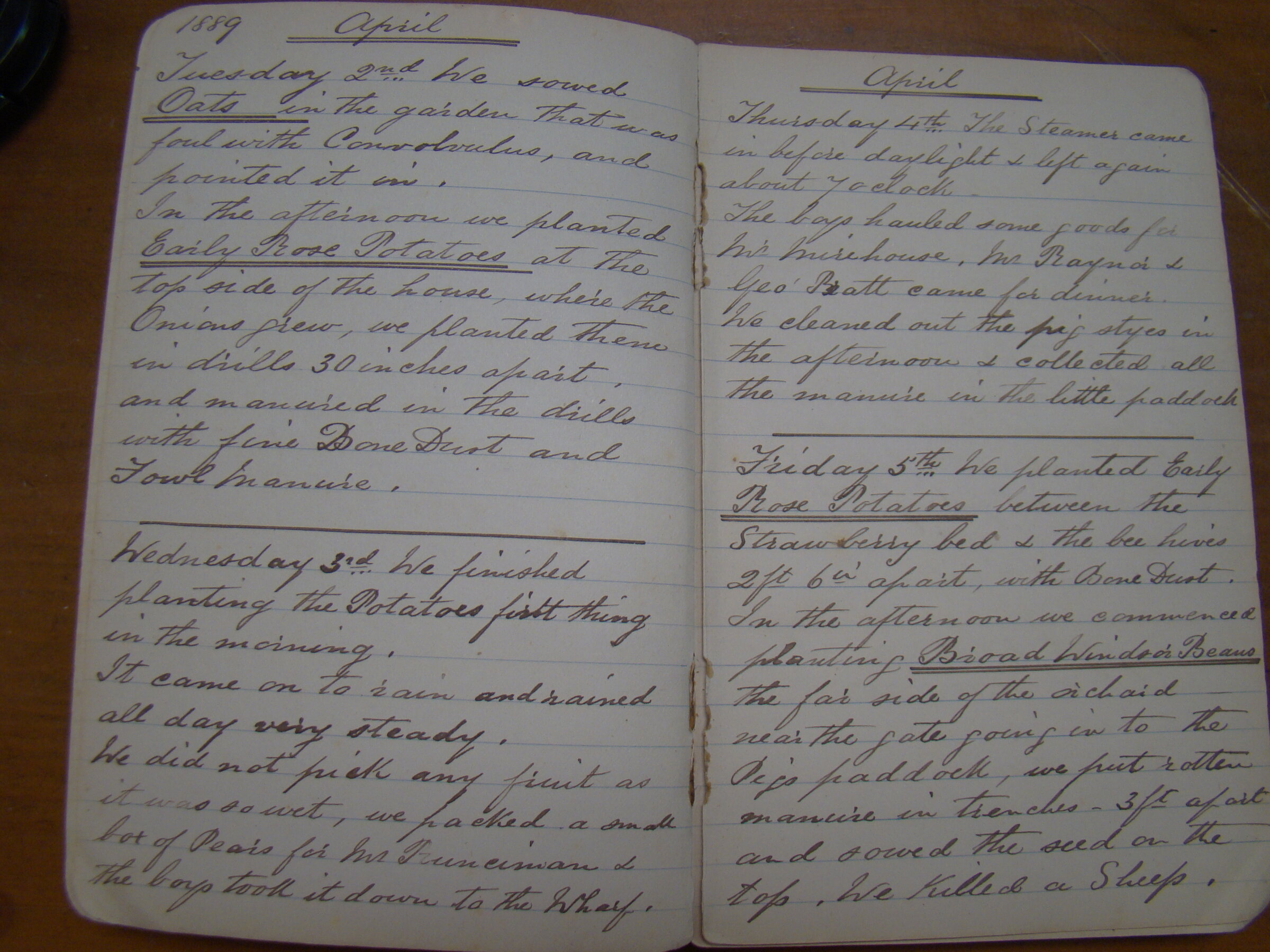 Original CS Clarke diary page