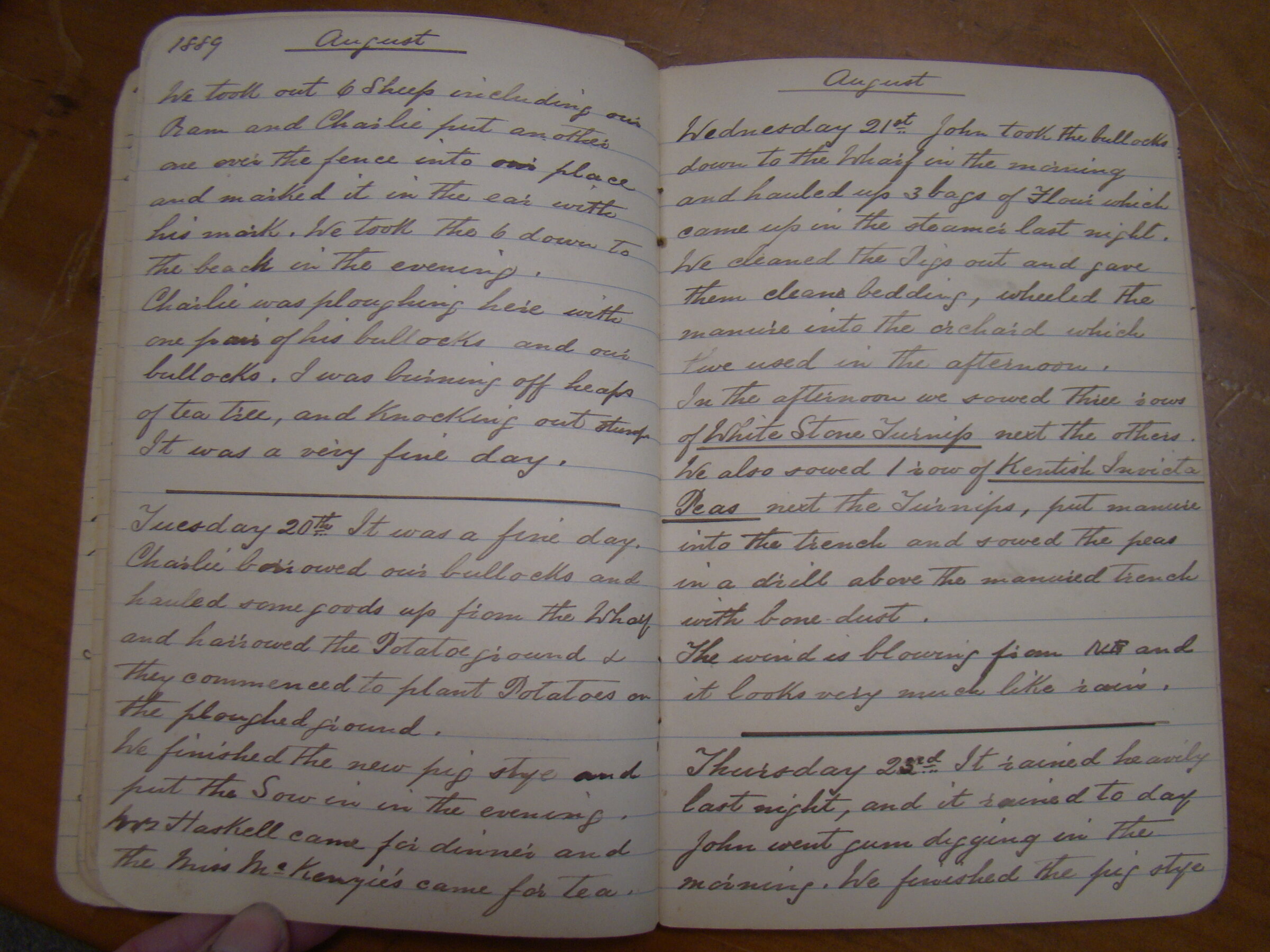 Original CS Clarke diary page