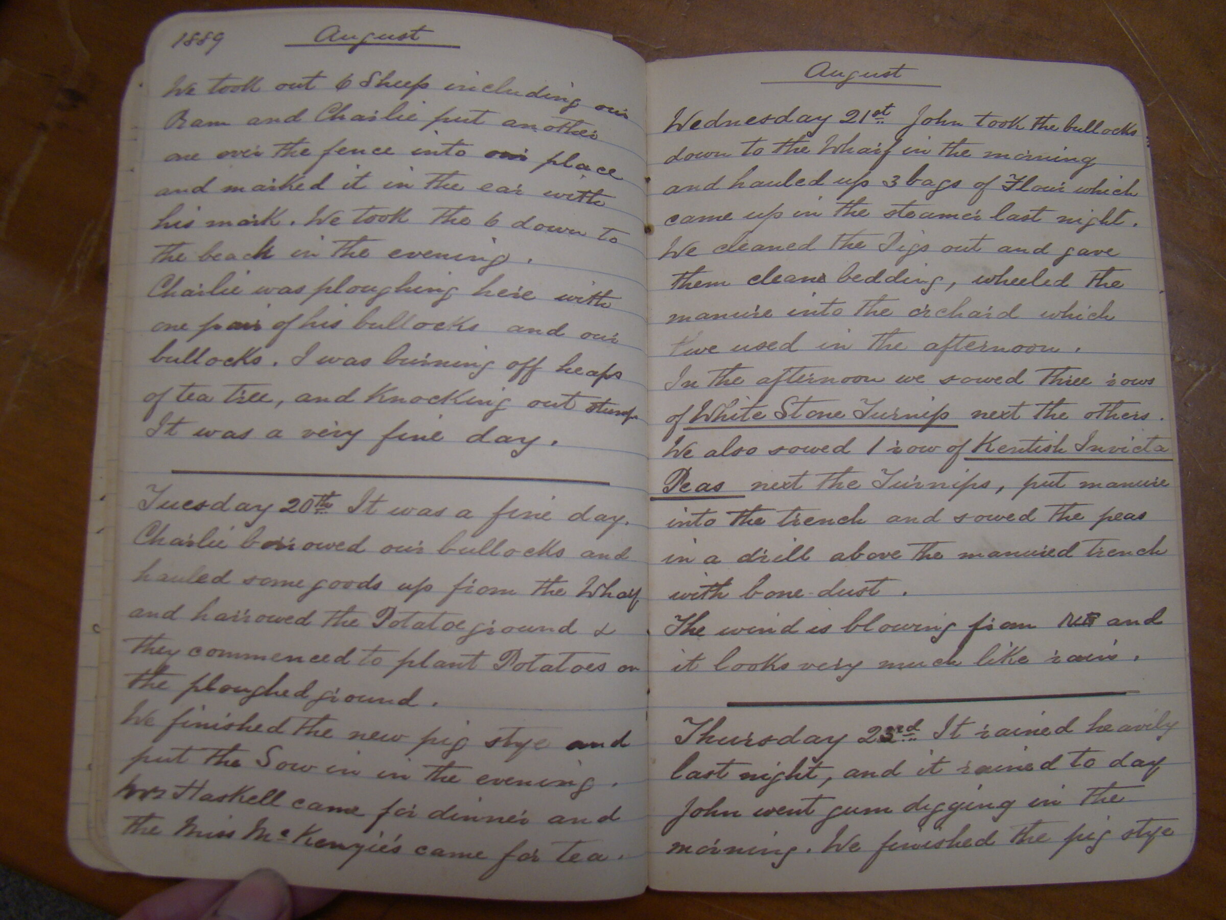 Original CS Clarke diary page