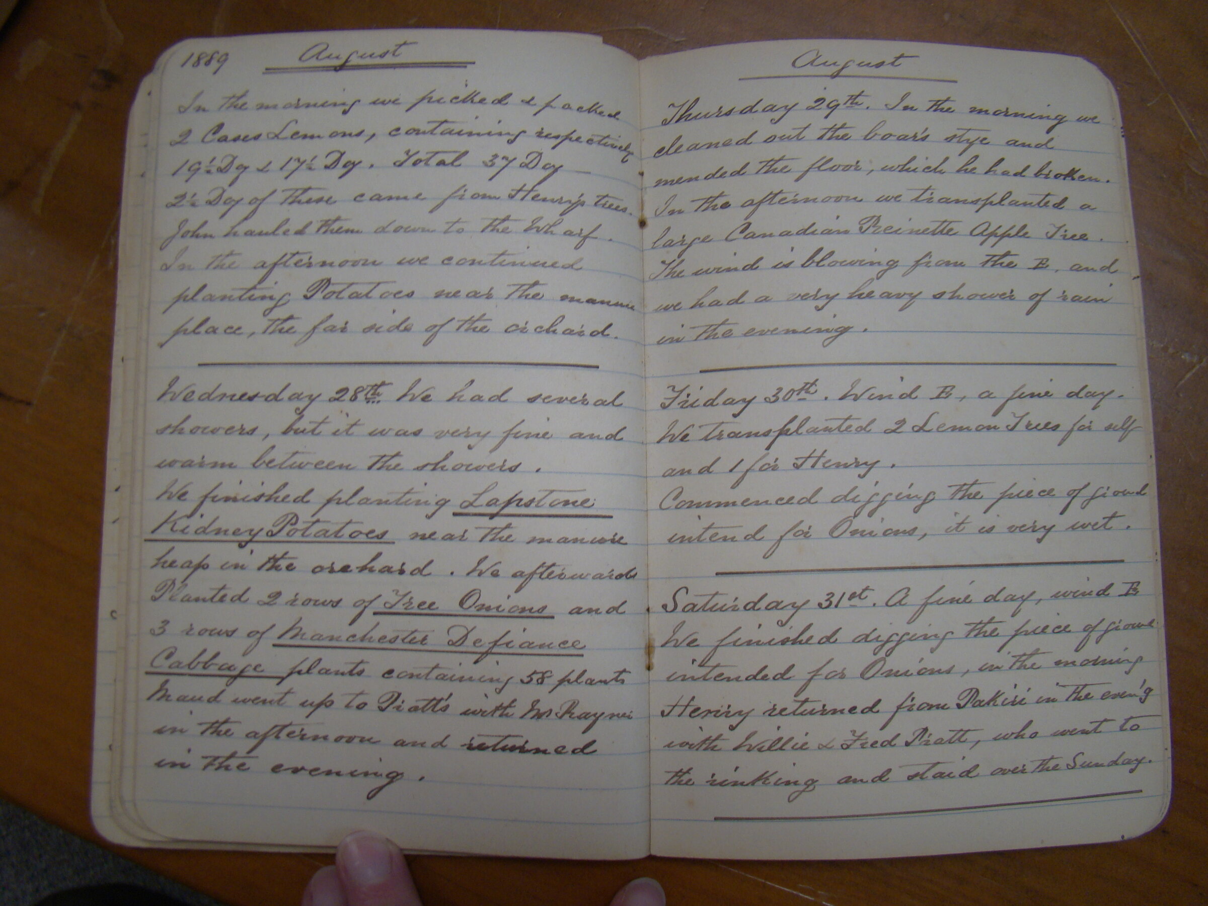 Original CS Clarke diary page