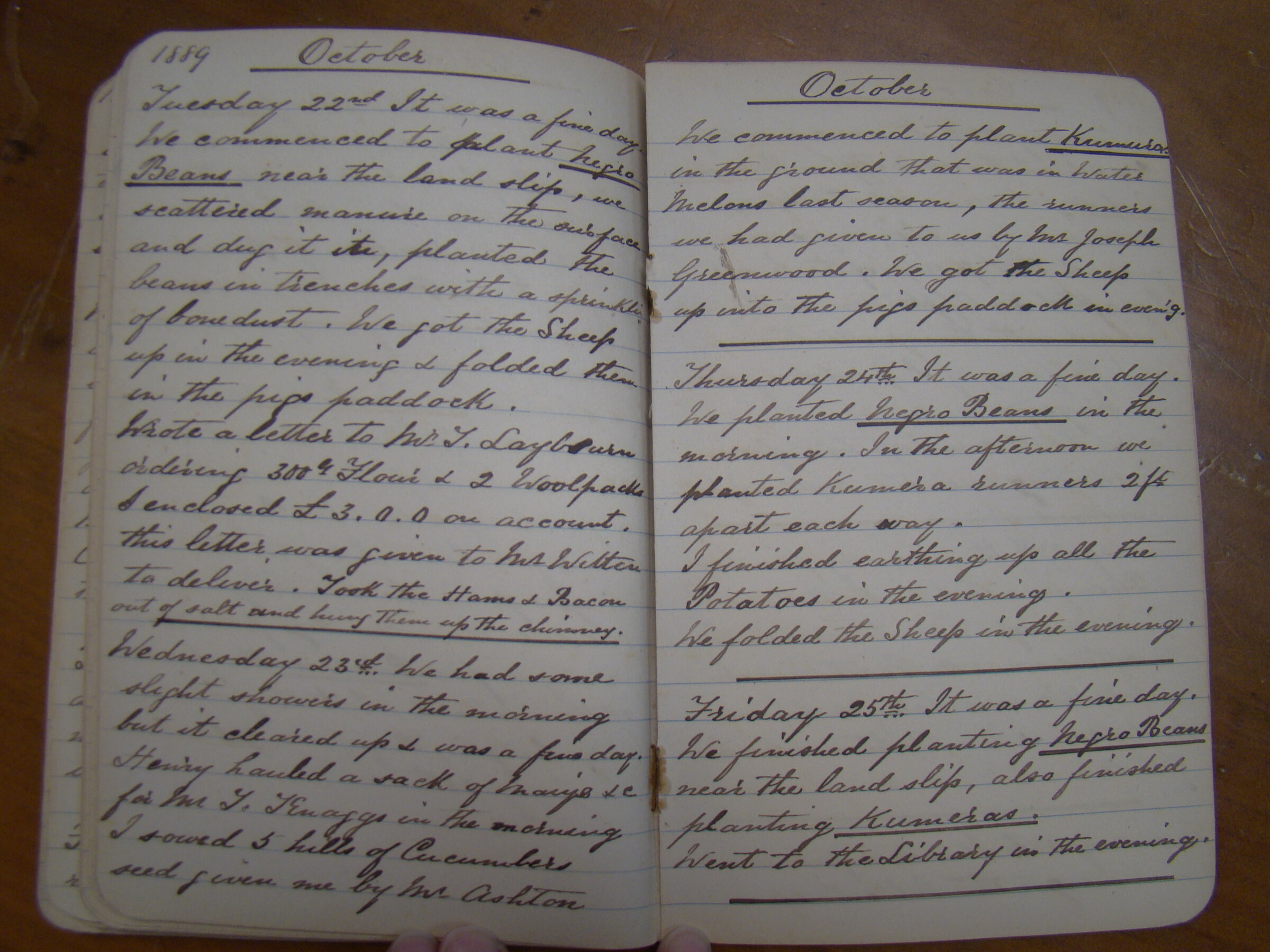Original CS Clarke diary page