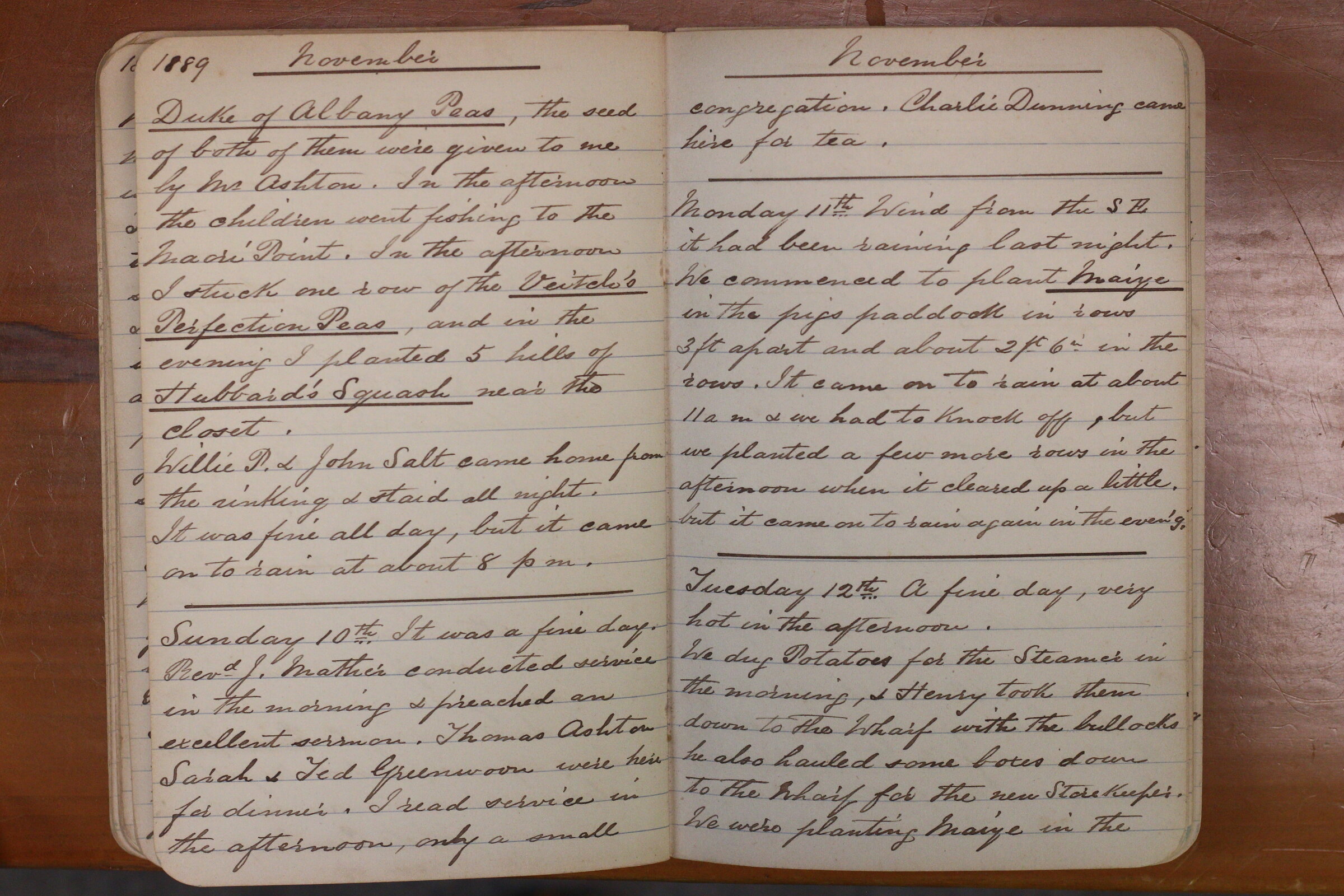 Original CS Clarke diary page