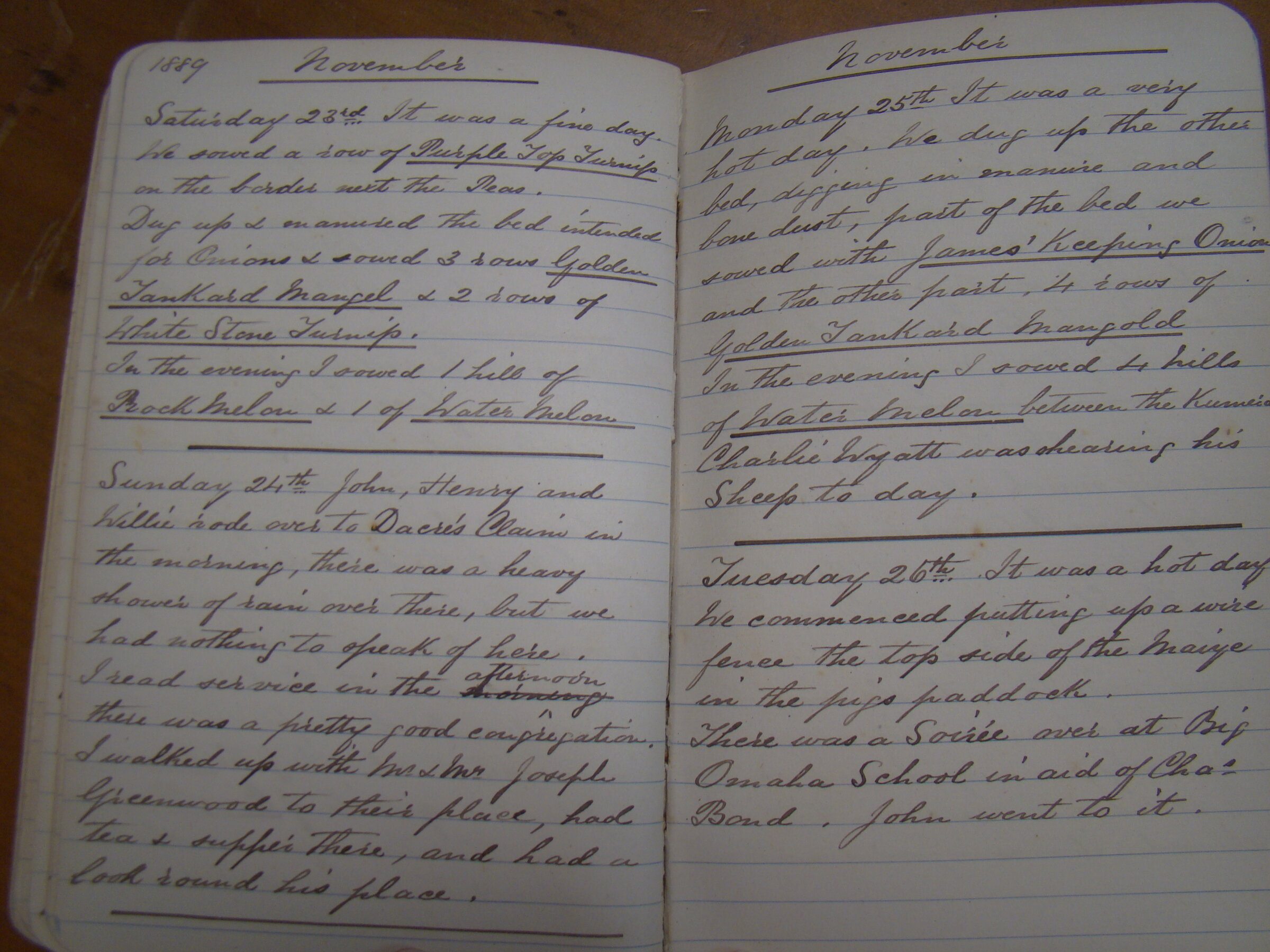 Original CS Clarke diary page