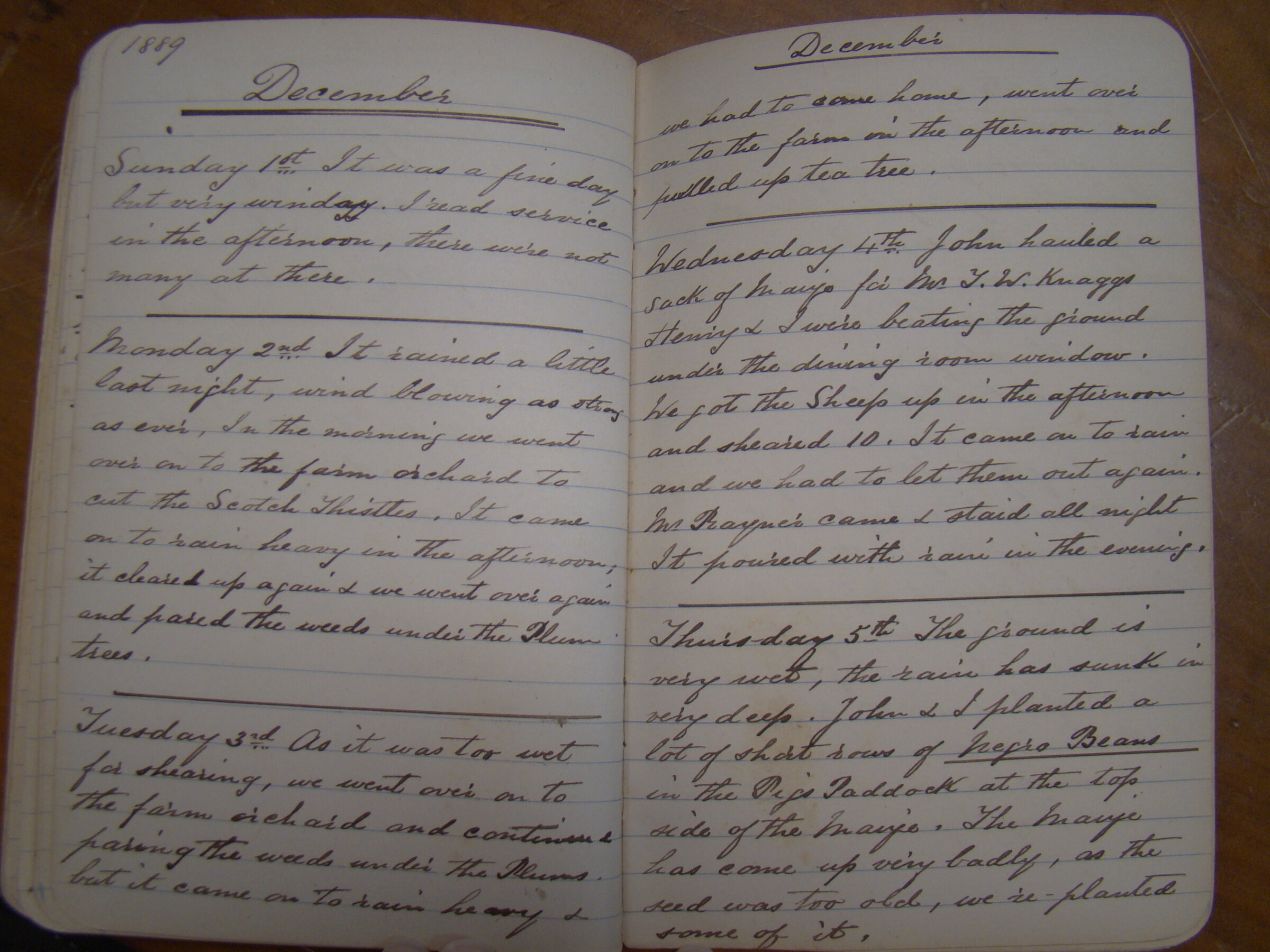 Original CS Clarke diary page