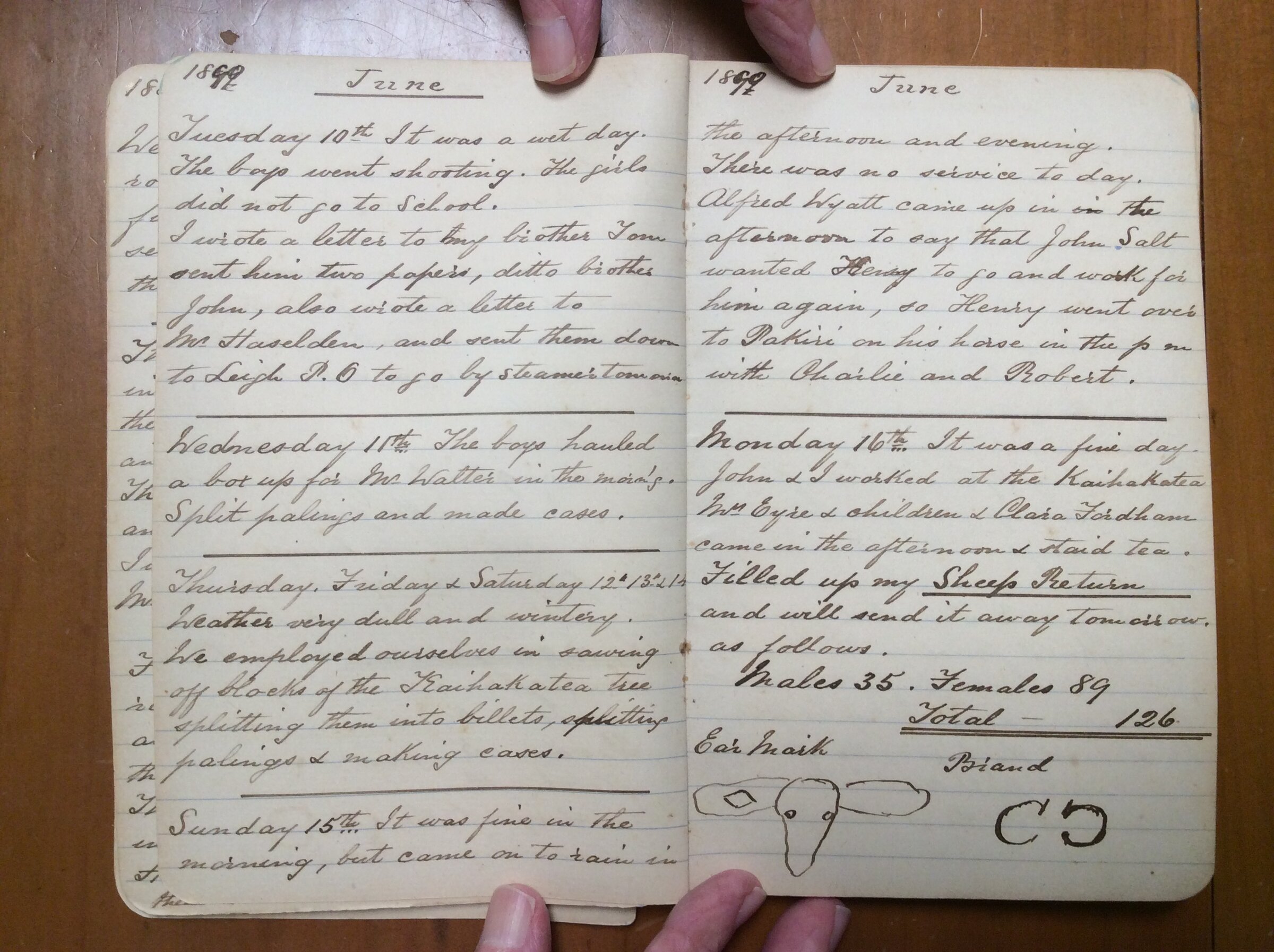 Original CS Clarke diary page