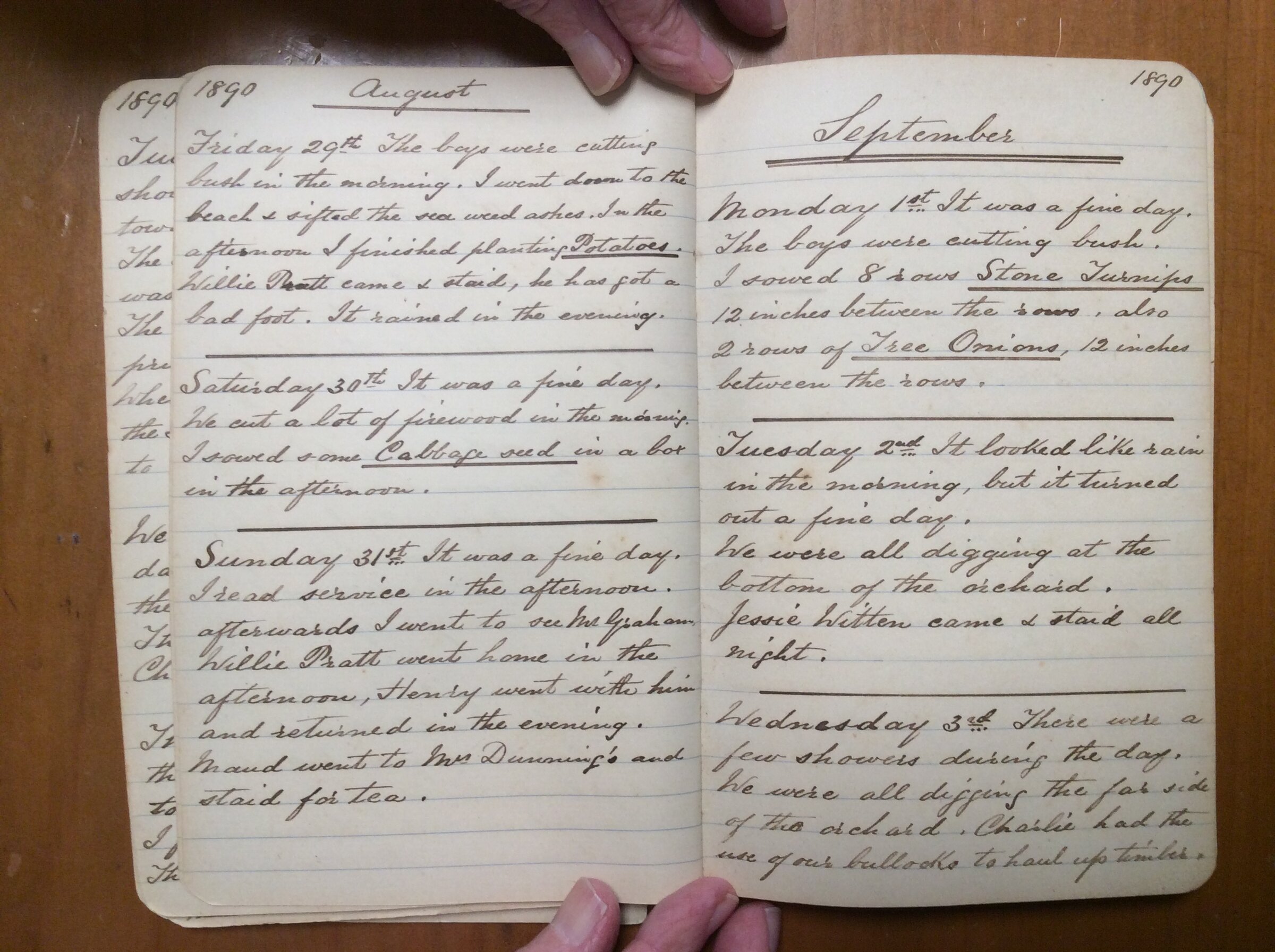 Original CS Clarke diary page