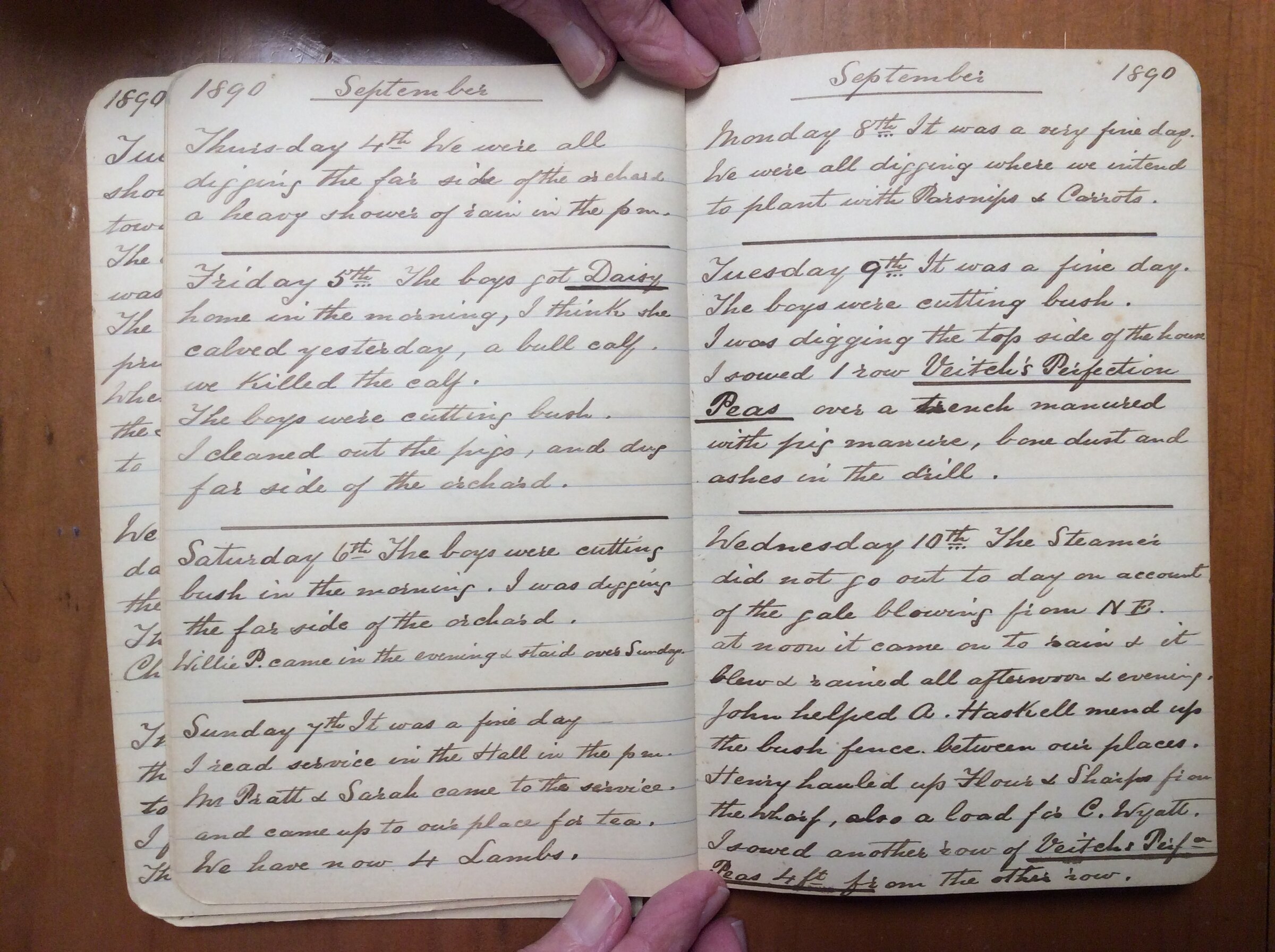 Original CS Clarke diary page