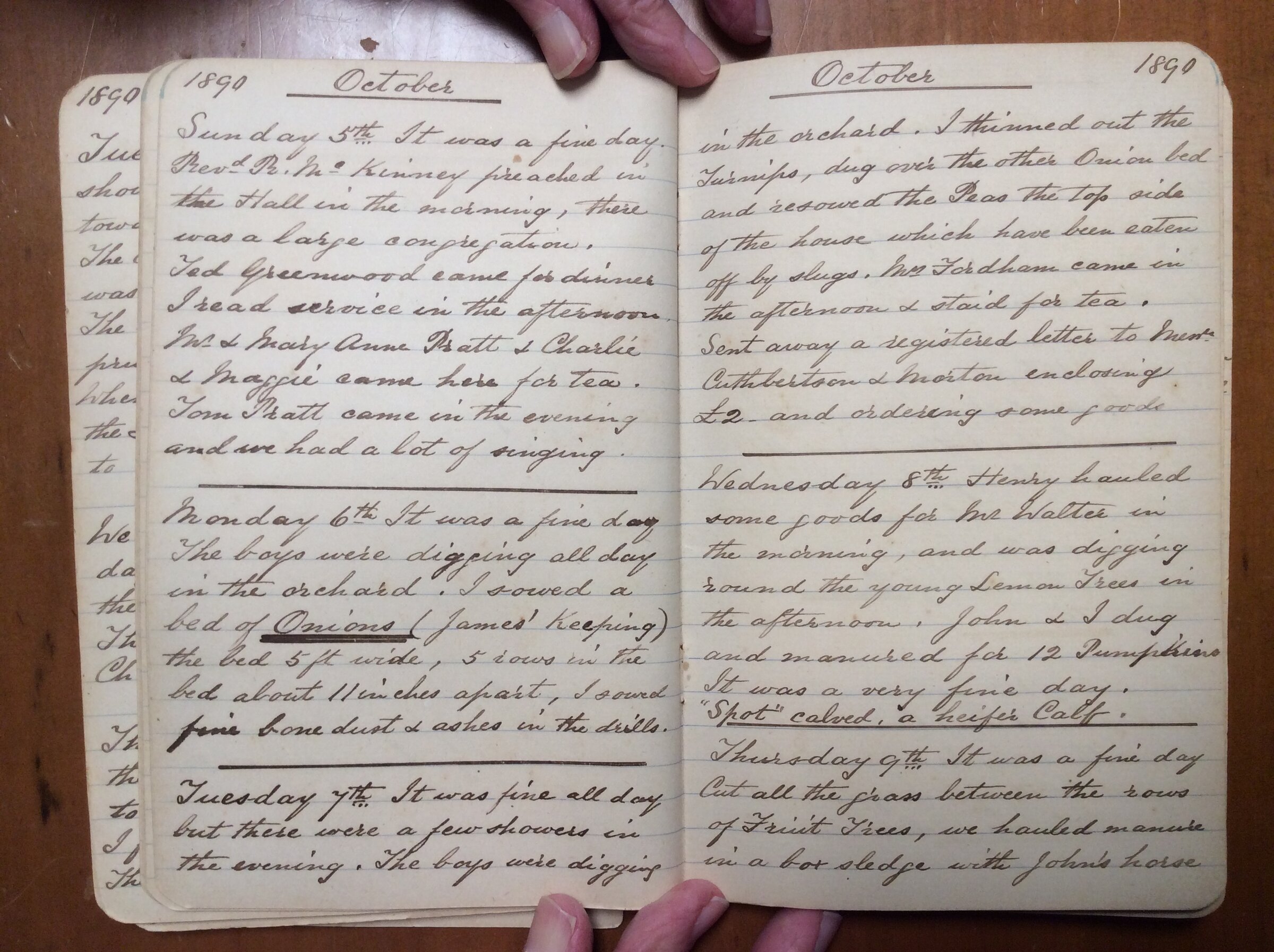 Original CS Clarke diary page