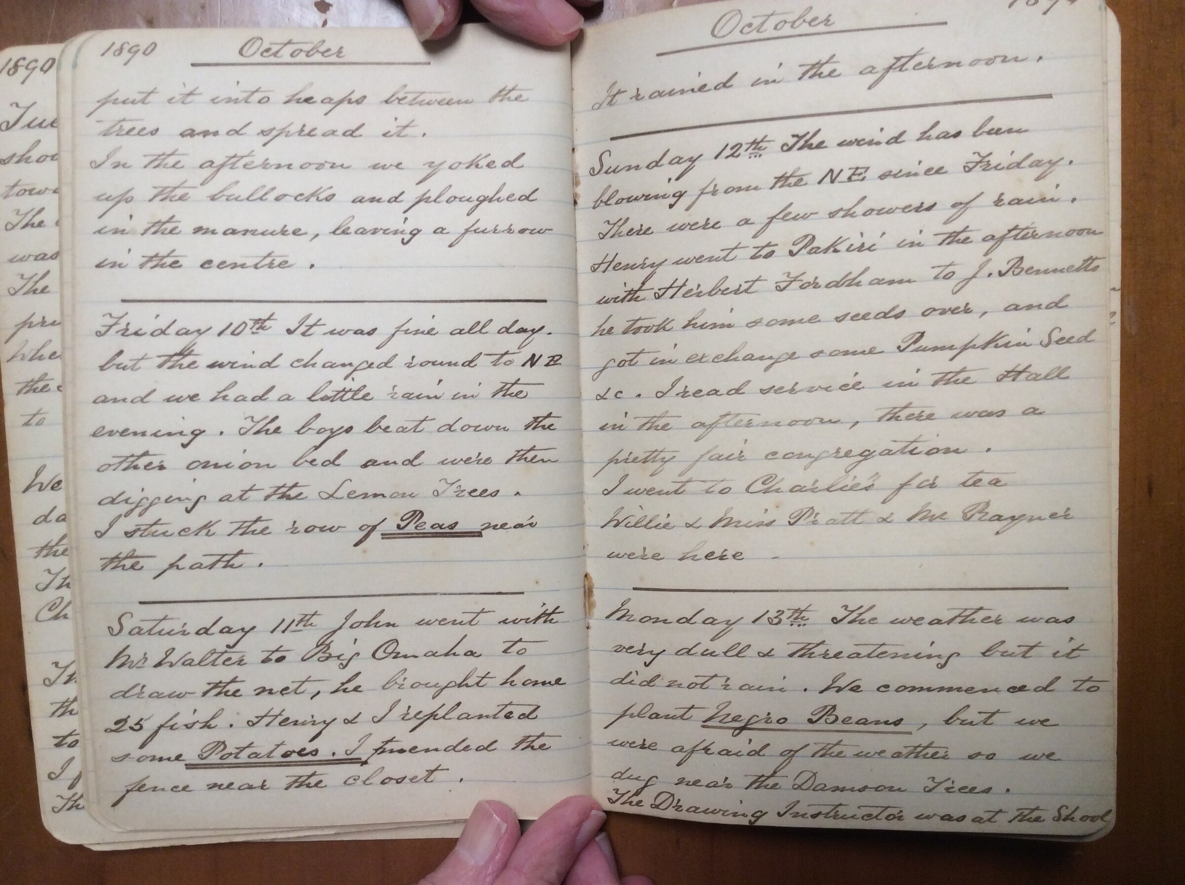 Original CS Clarke diary page