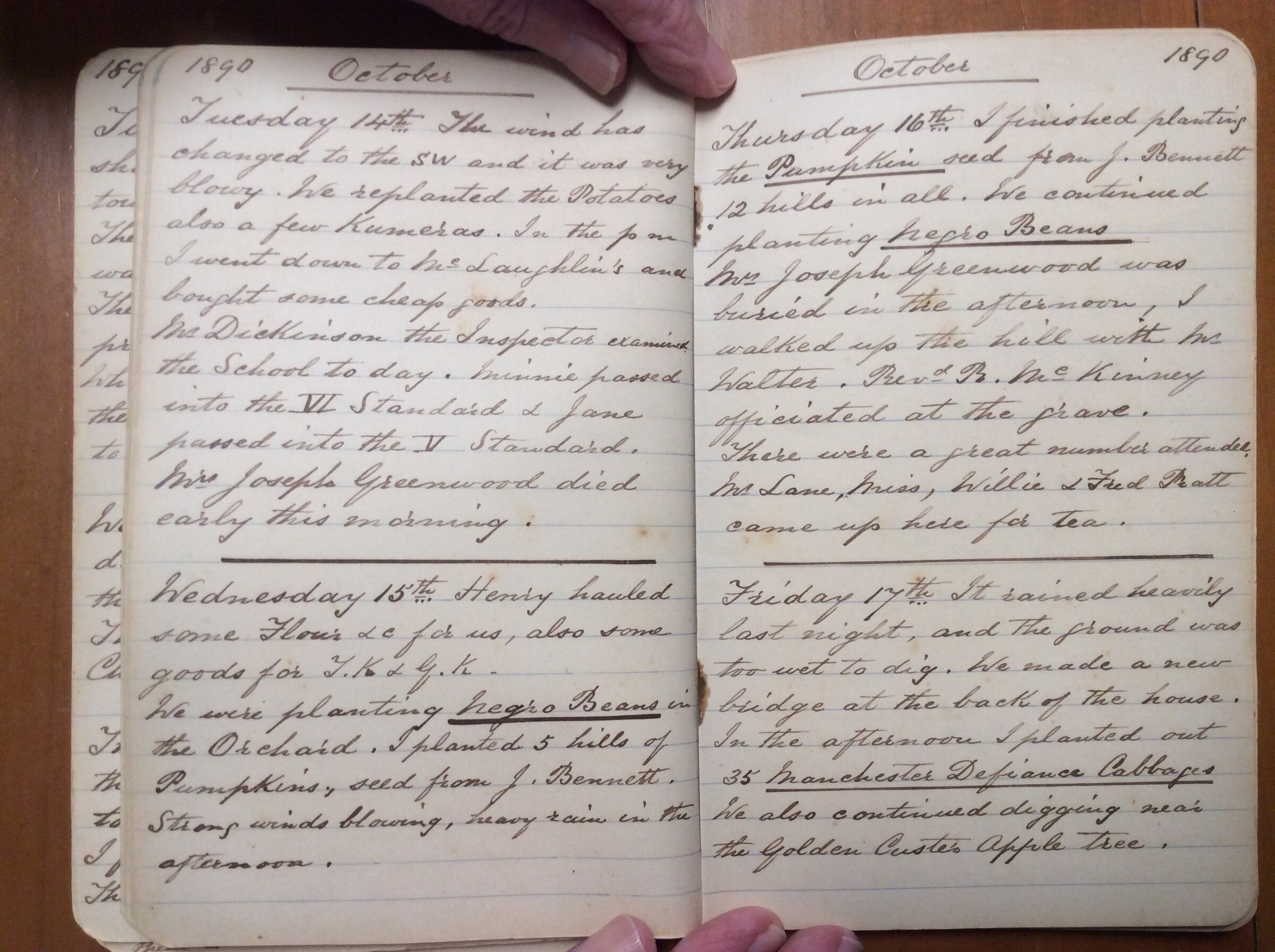 Original CS Clarke diary page