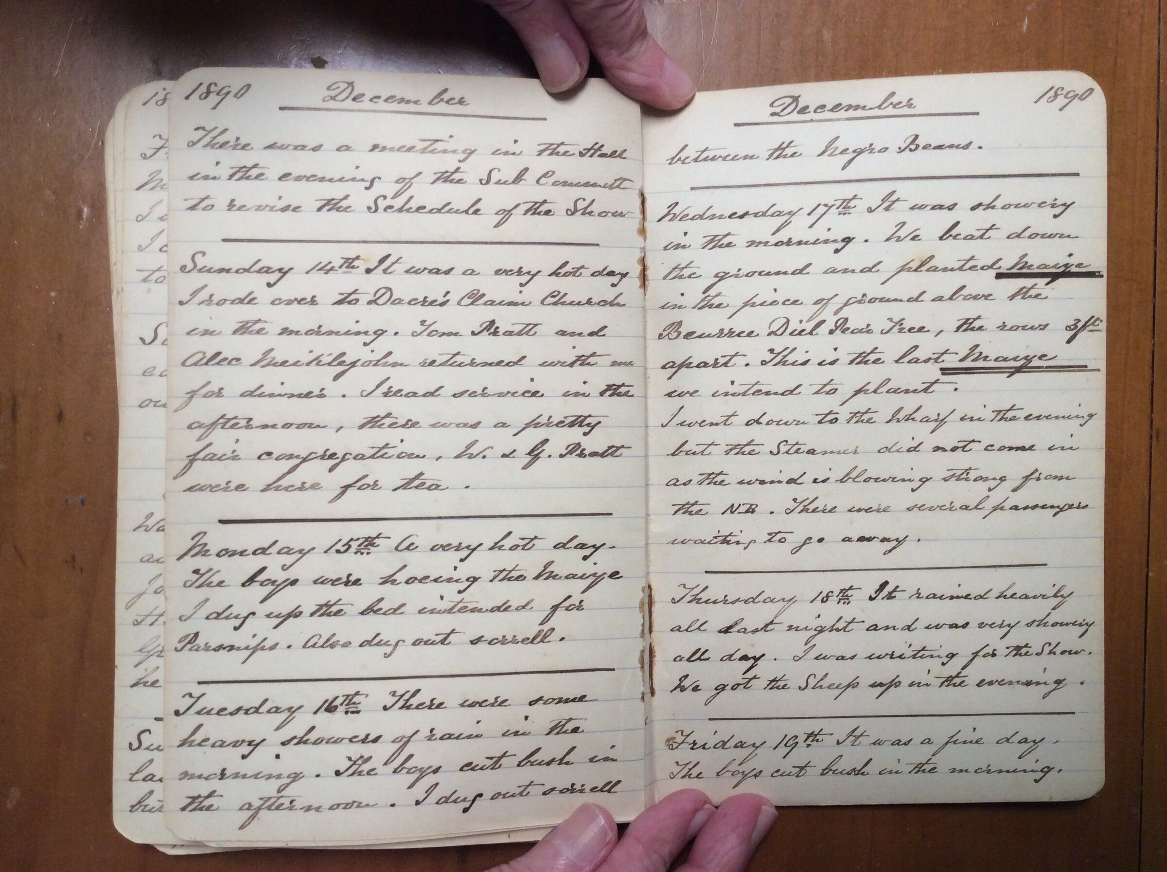 Original CS Clarke diary page