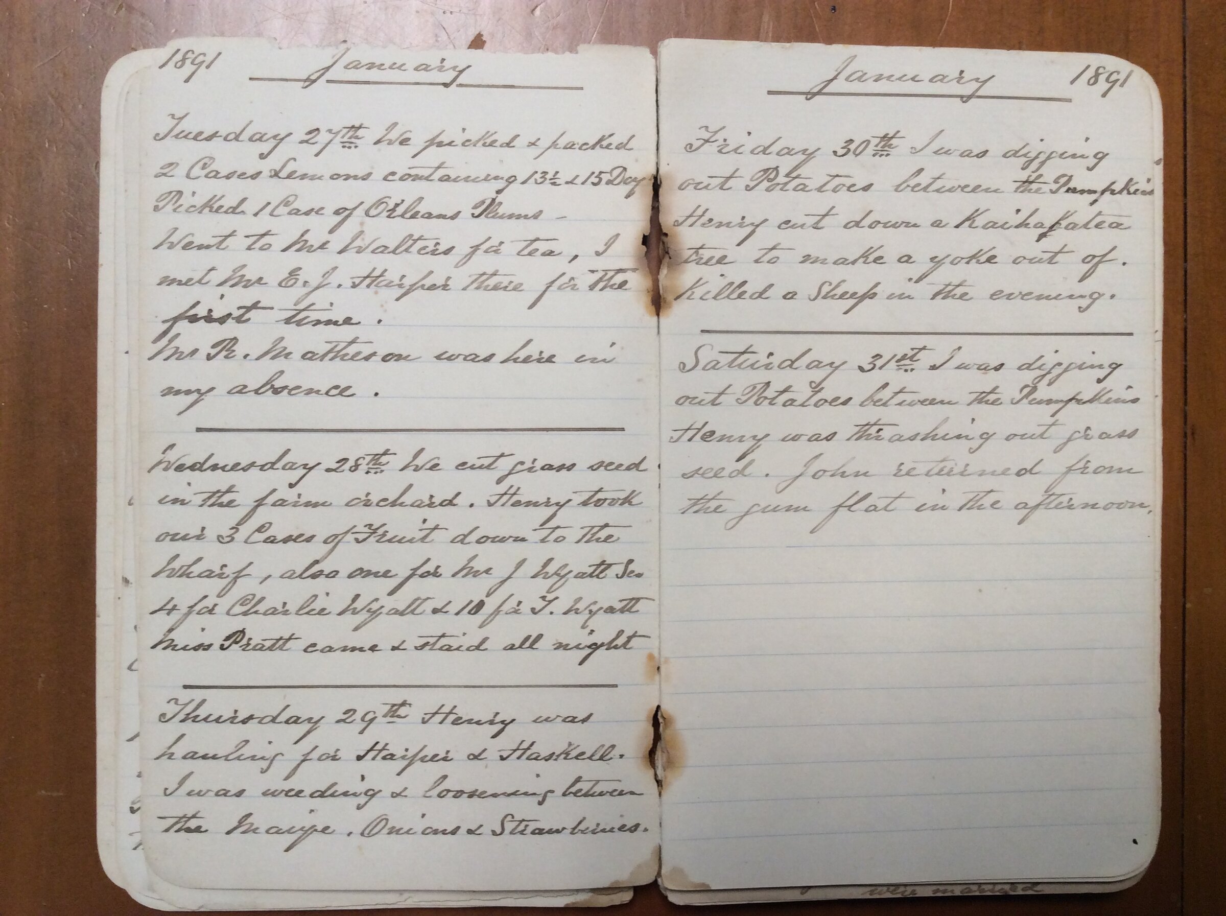 Original CS Clarke diary page