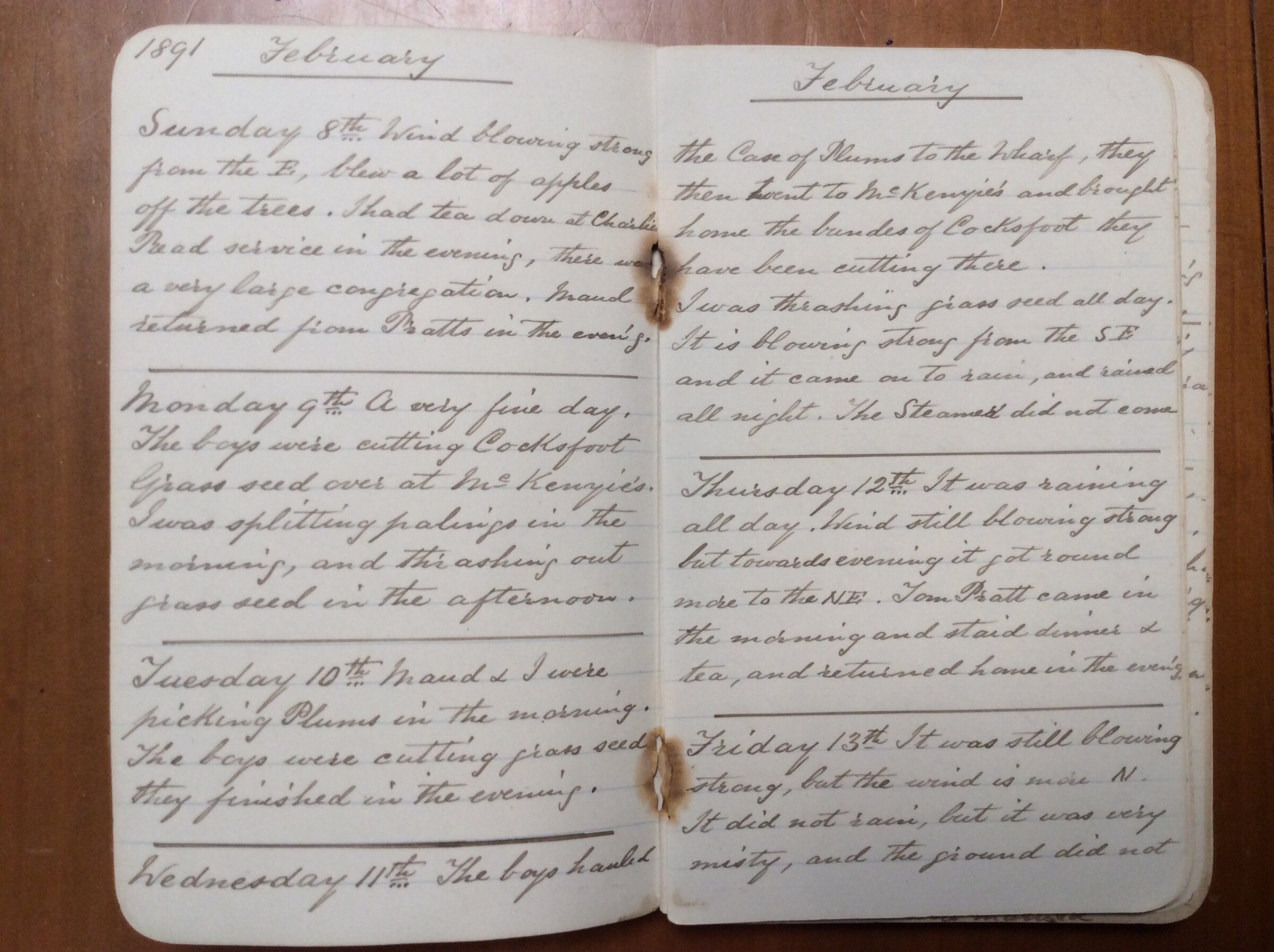 Original CS Clarke diary page