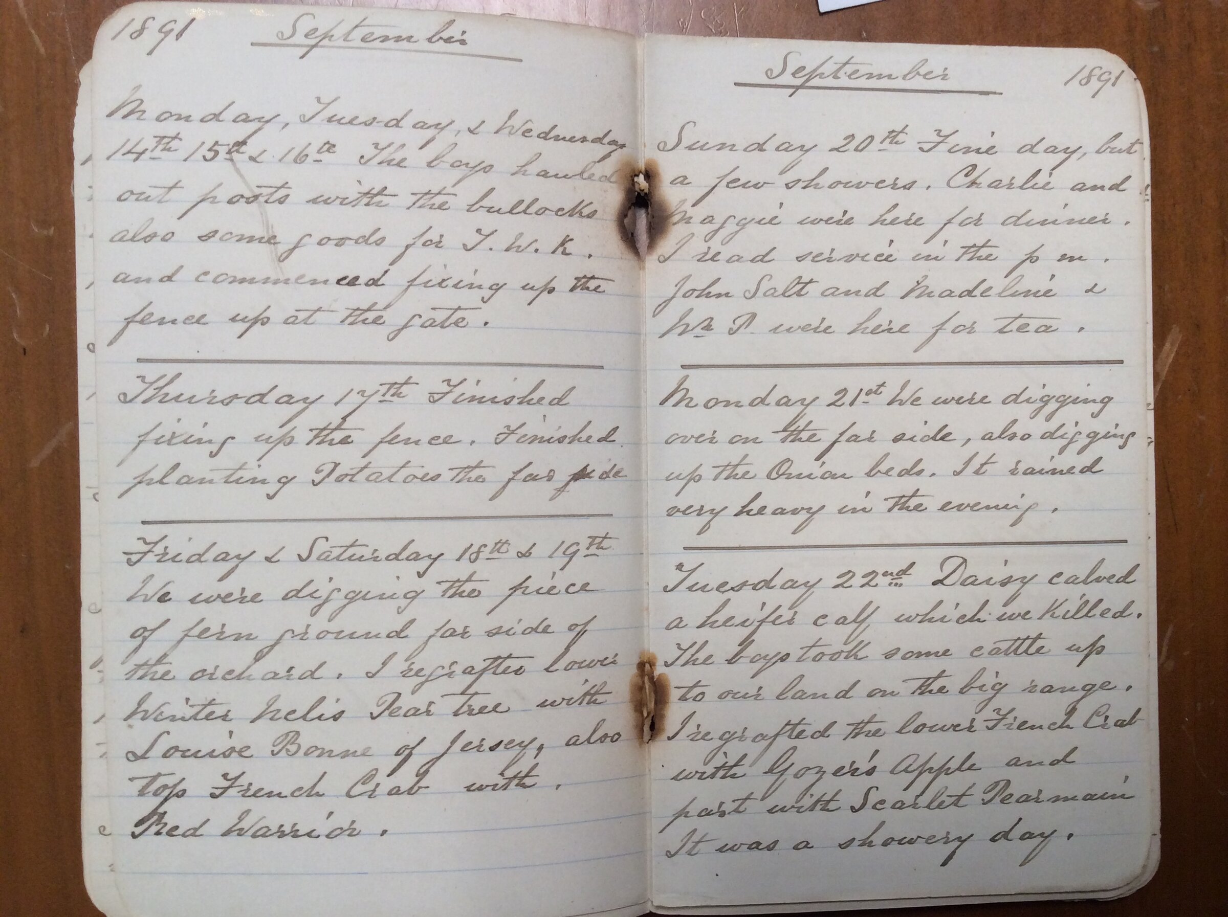 Original CS Clarke diary page