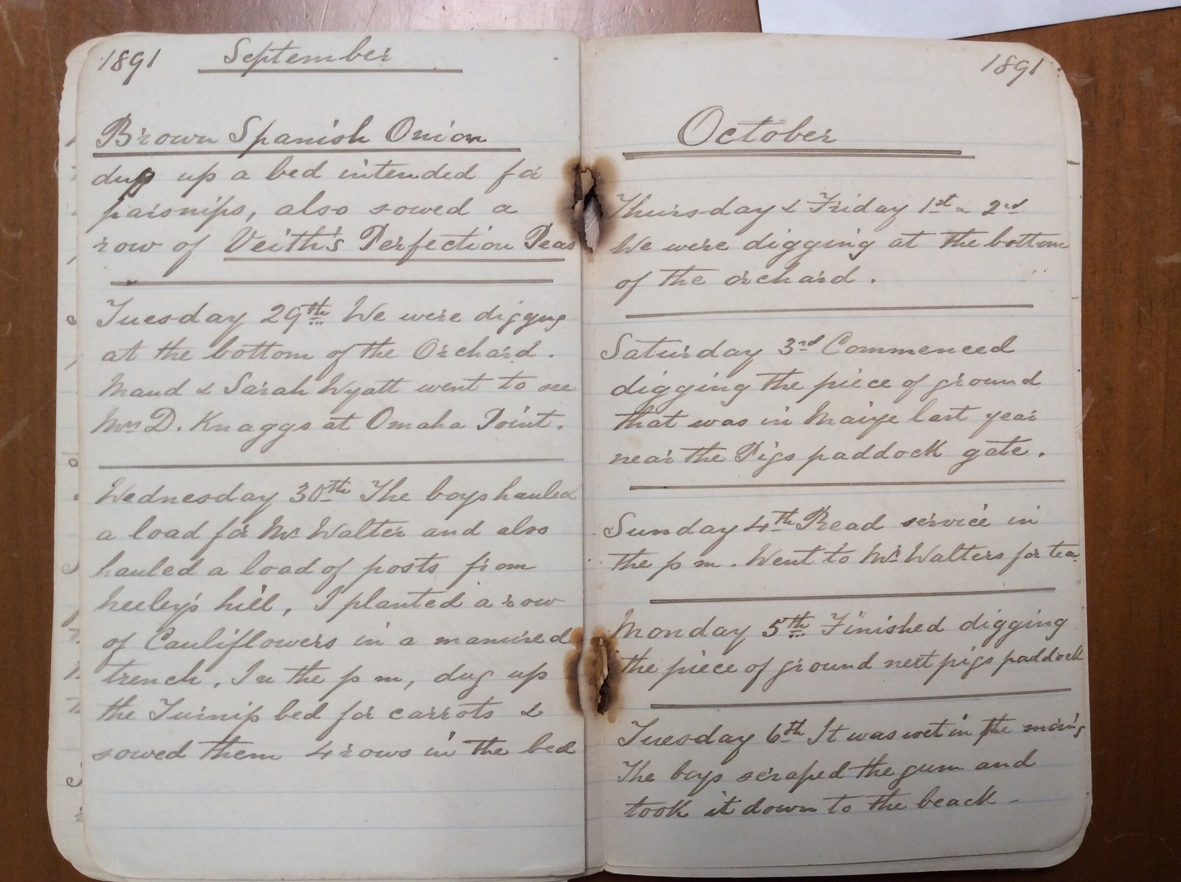 Original CS Clarke diary page