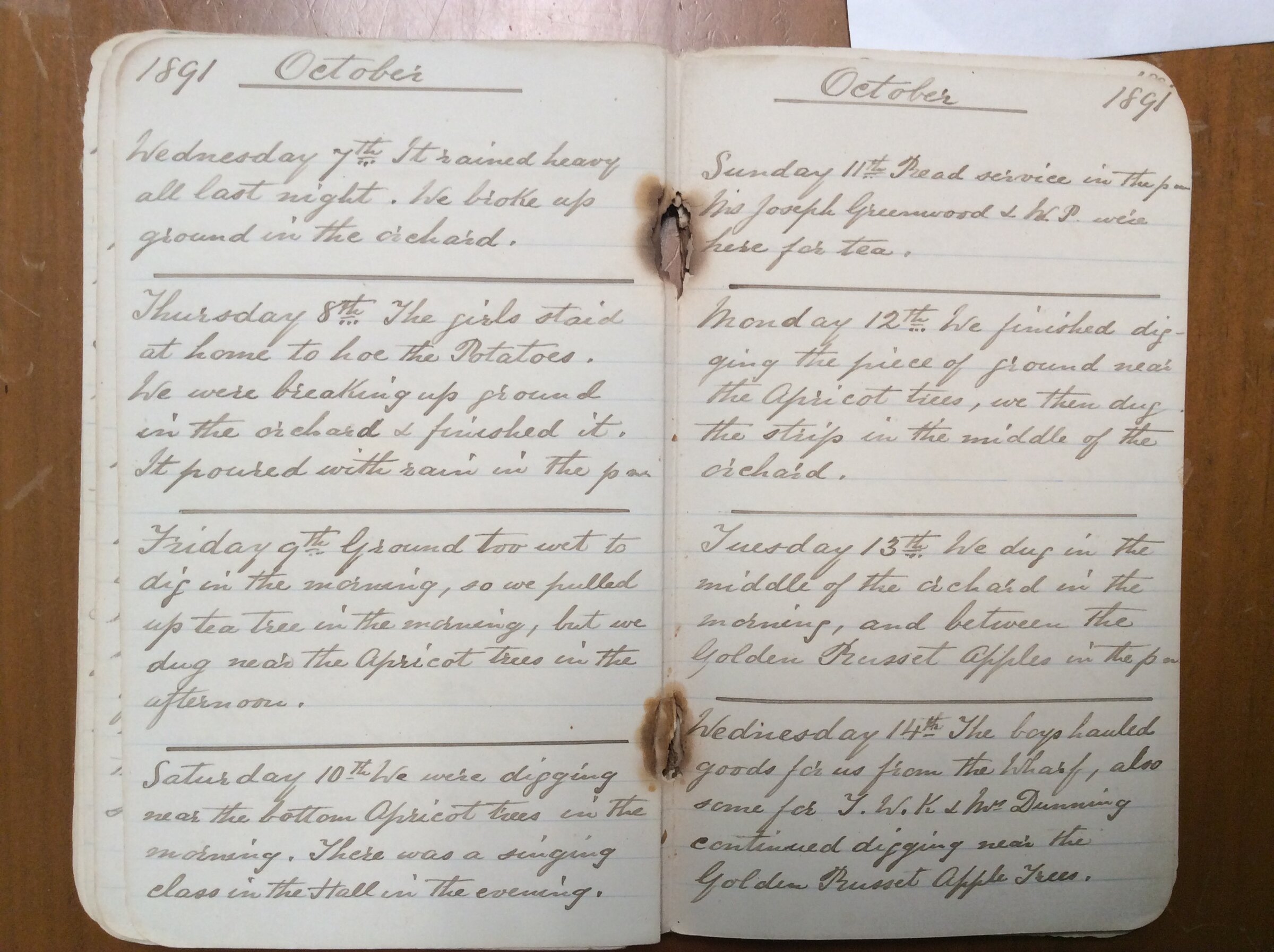 Original CS Clarke diary page