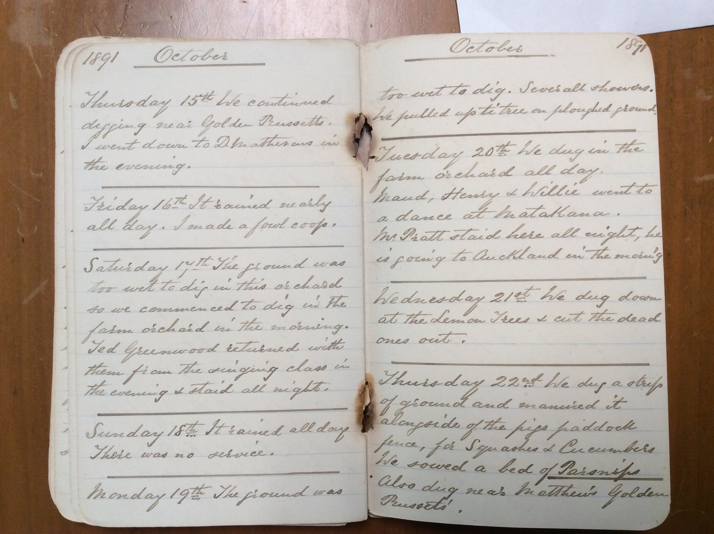 Original CS Clarke diary page