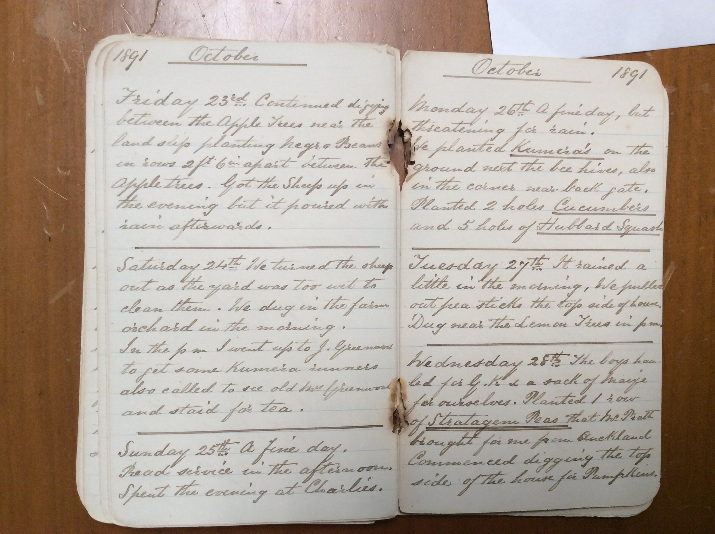 Original CS Clarke diary page