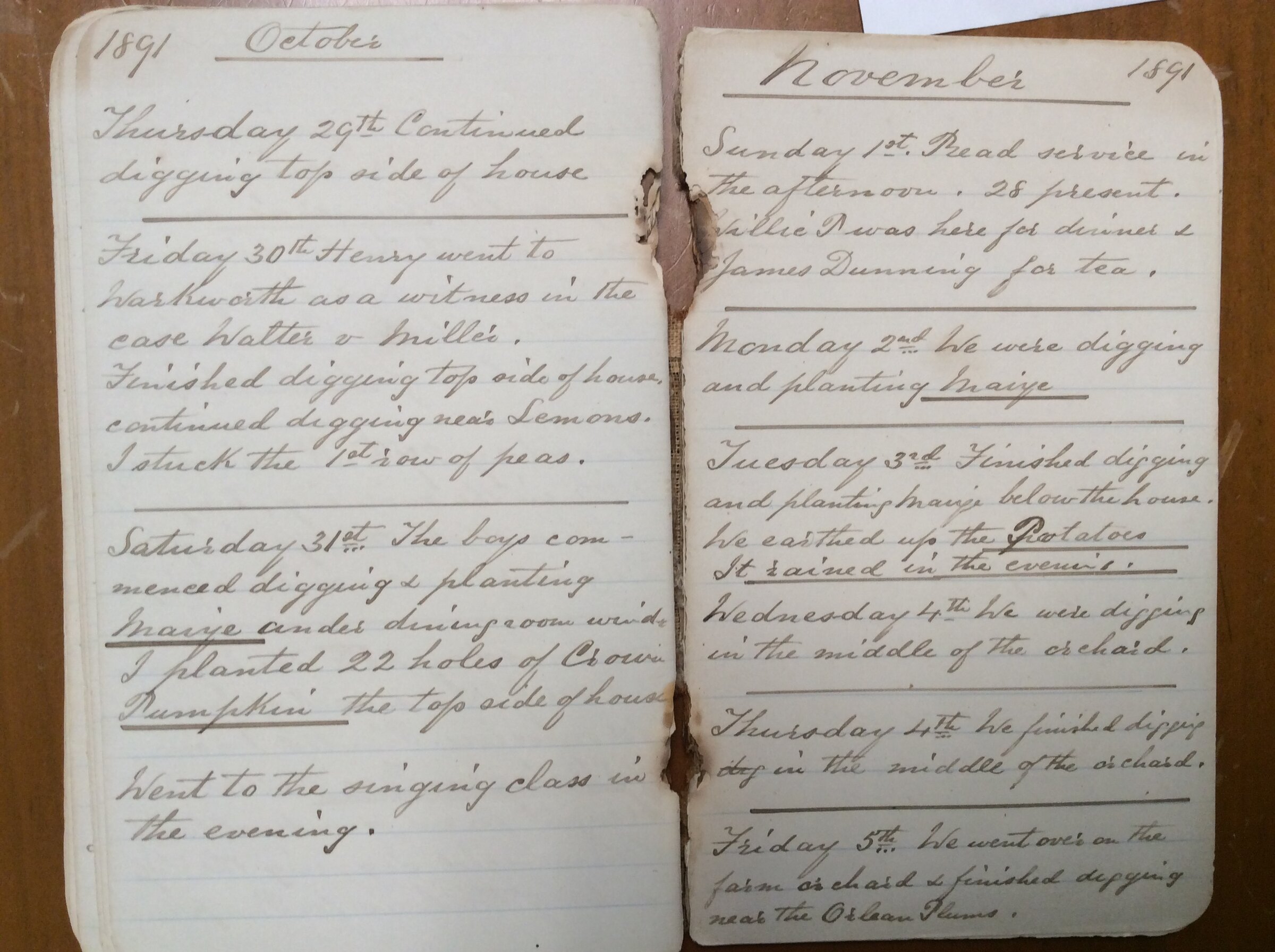 Original CS Clarke diary page