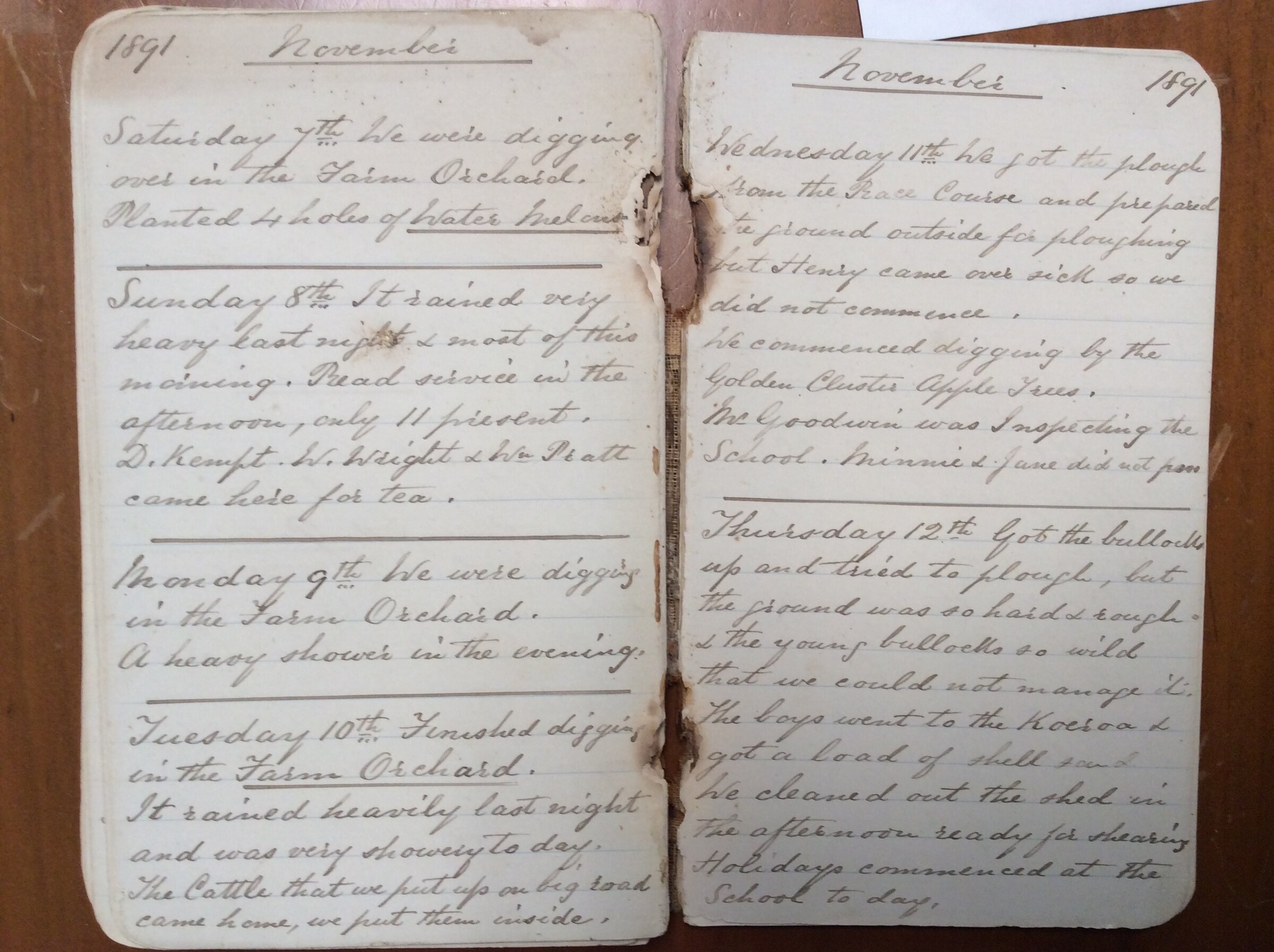 Original CS Clarke diary page