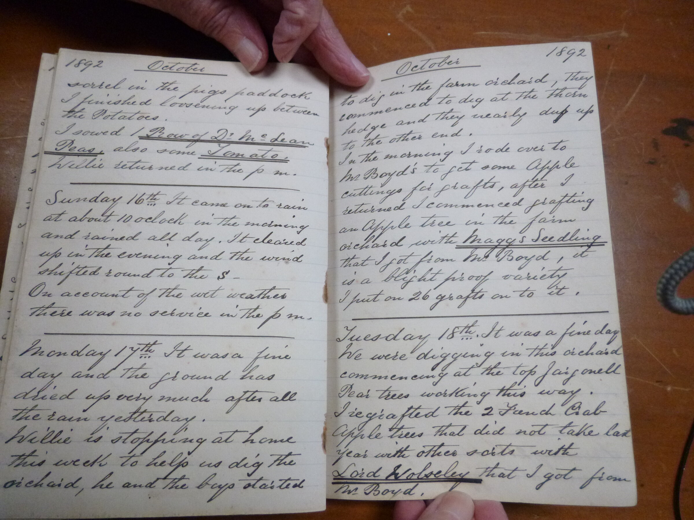 Original CS Clarke diary page