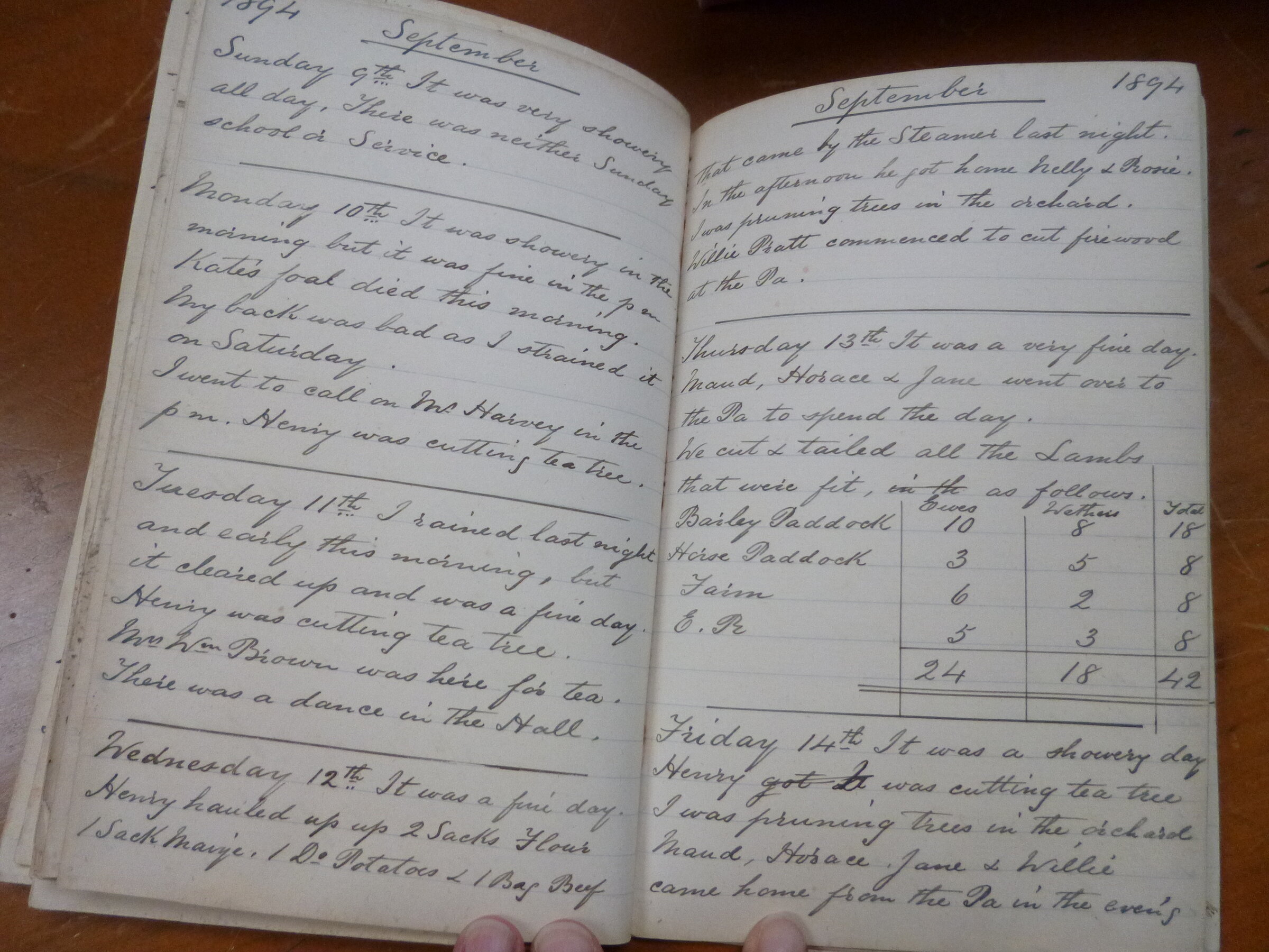 Original CS Clarke diary page
