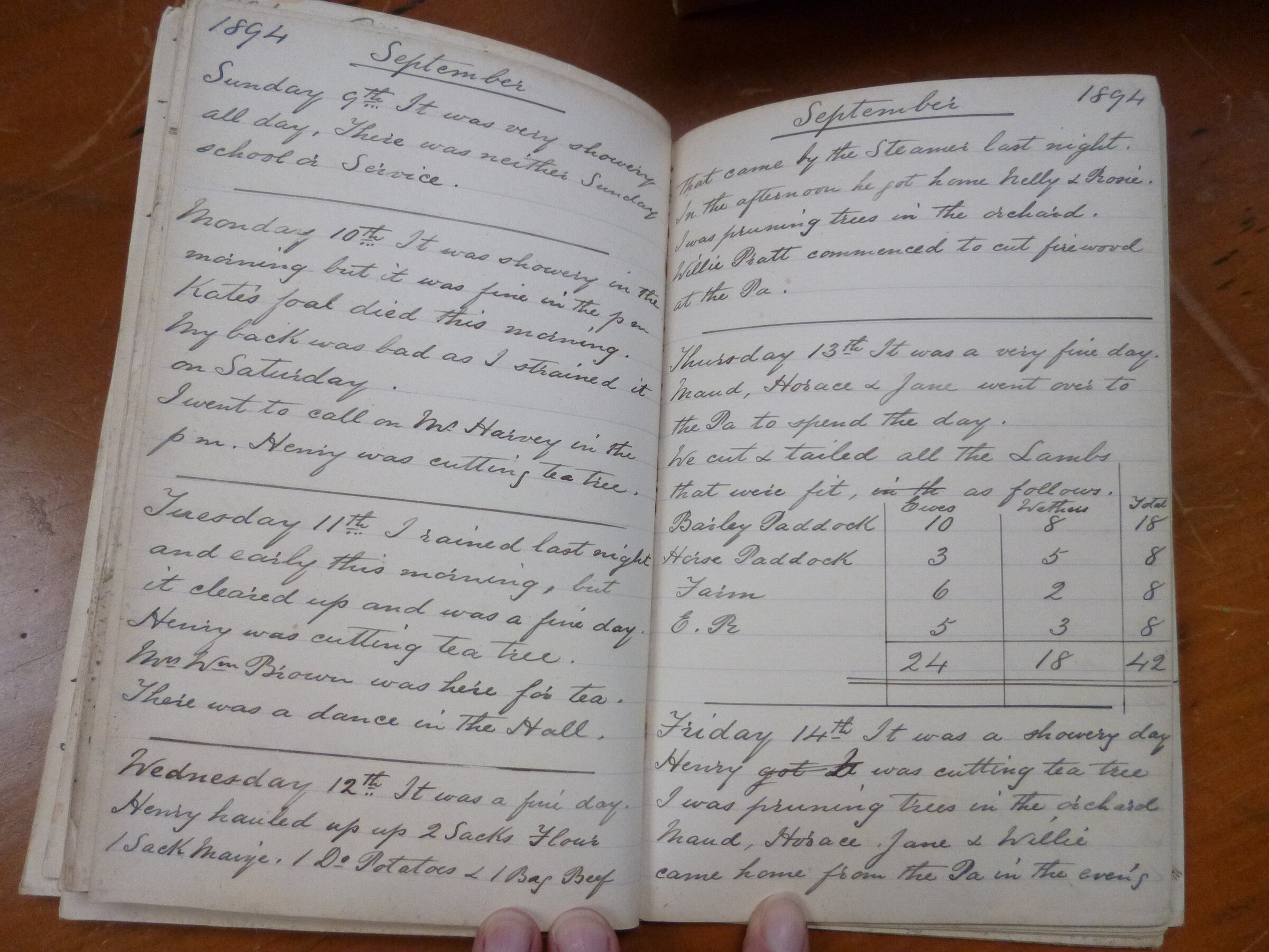 Original CS Clarke diary page