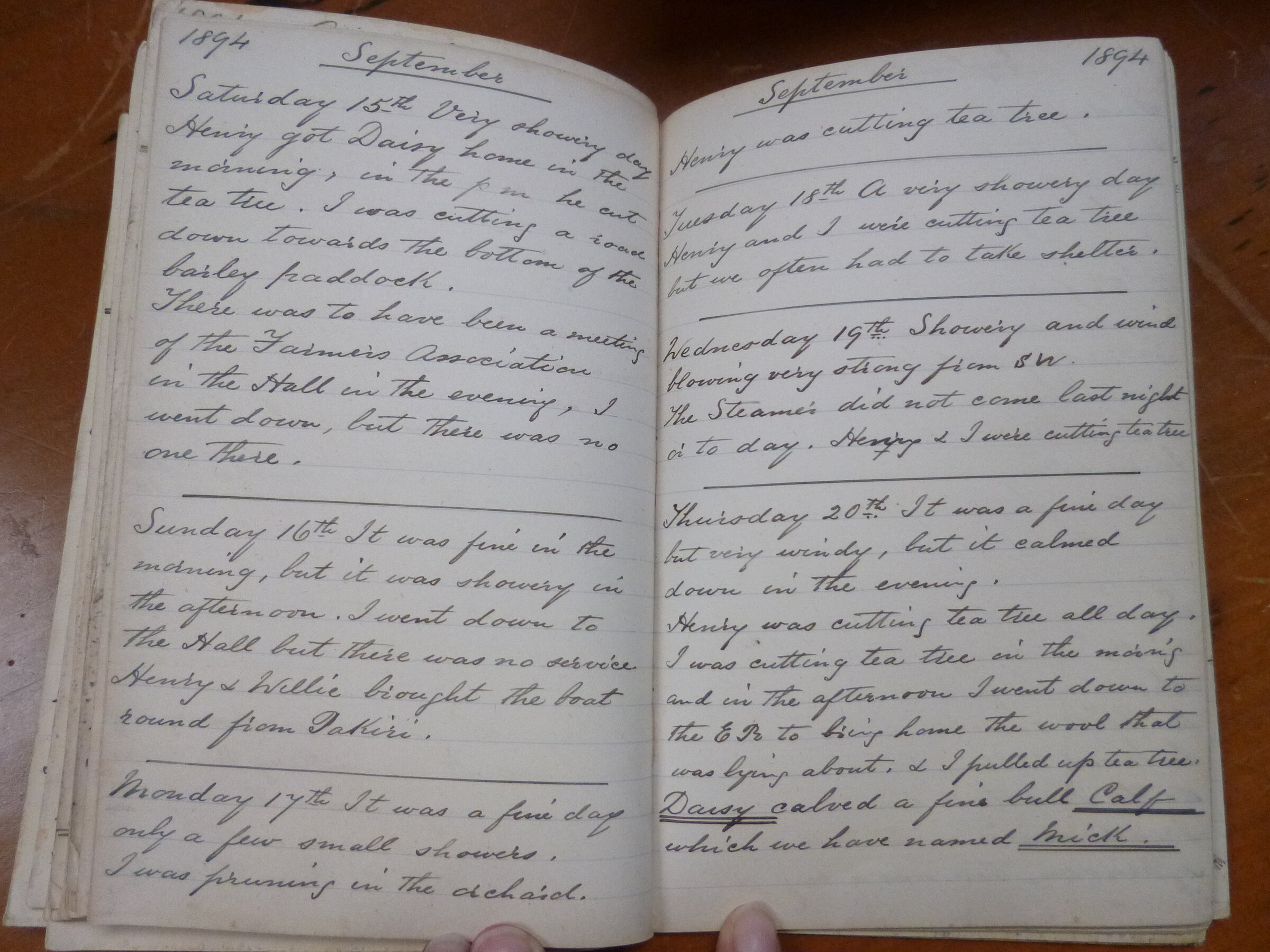 Original CS Clarke diary page