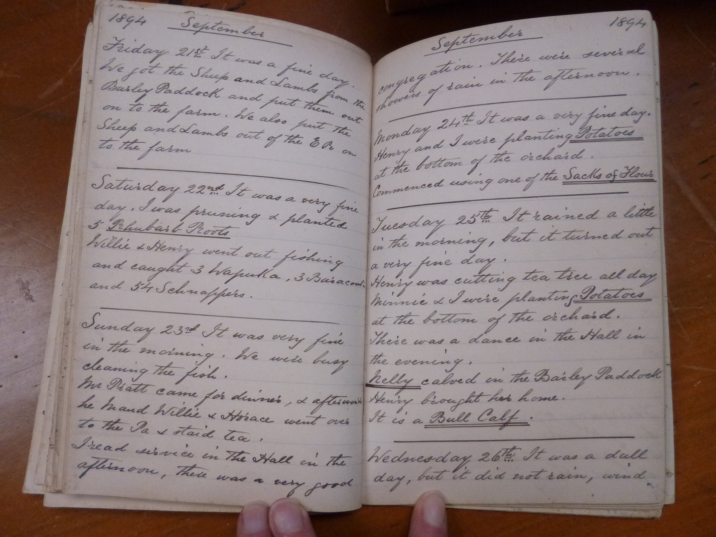 Original CS Clarke diary page